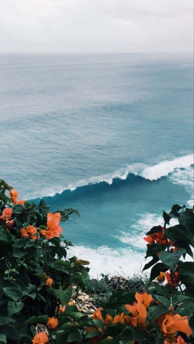Take a Break and Enjoy the Sunshine of a Perfect Summer Day — 675x1200 wallpaper