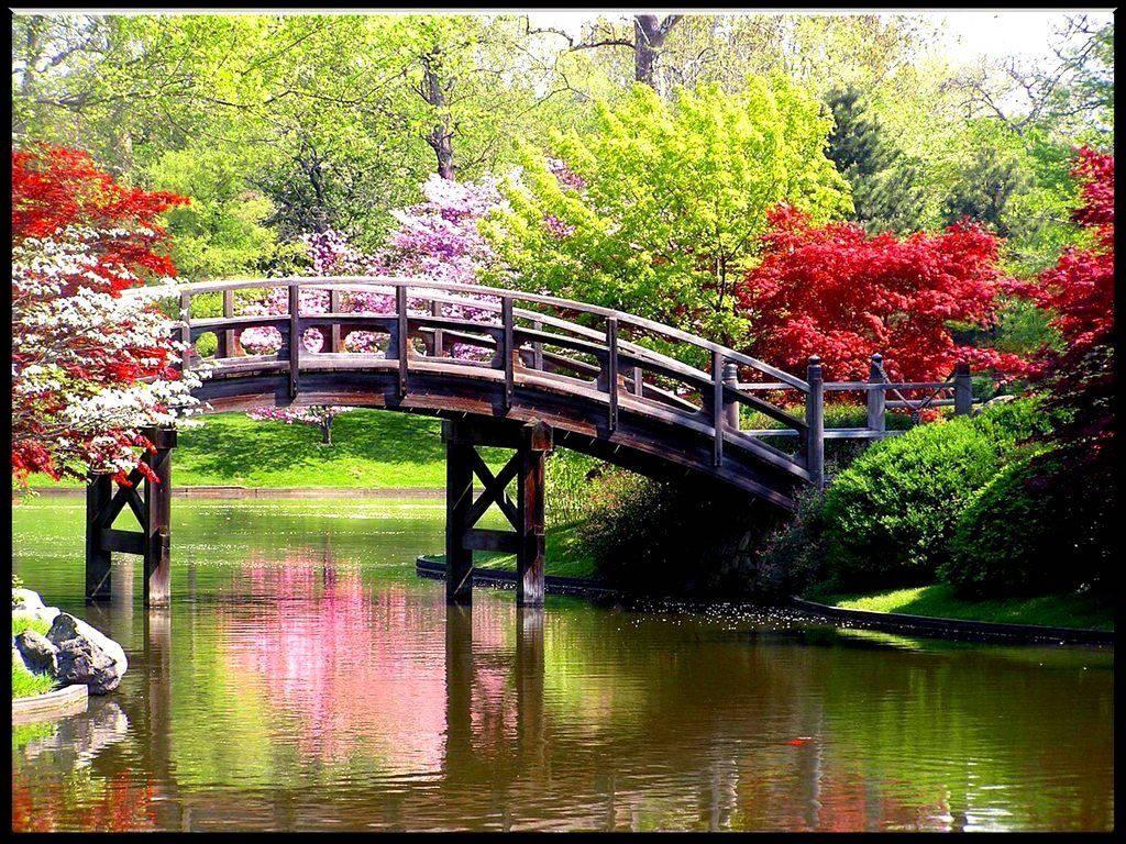Take a Break and Visit Nature for Spring Desktop — 1024x768 wallpaper