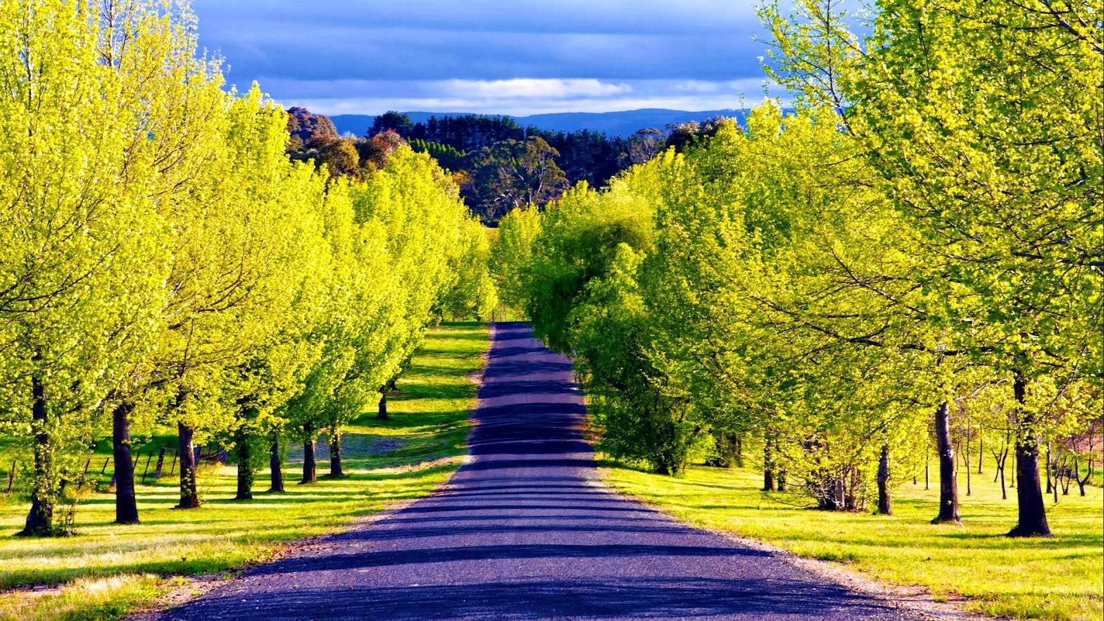 Take a drive and explore the beautiful countryside — 1600x900 wallpaper