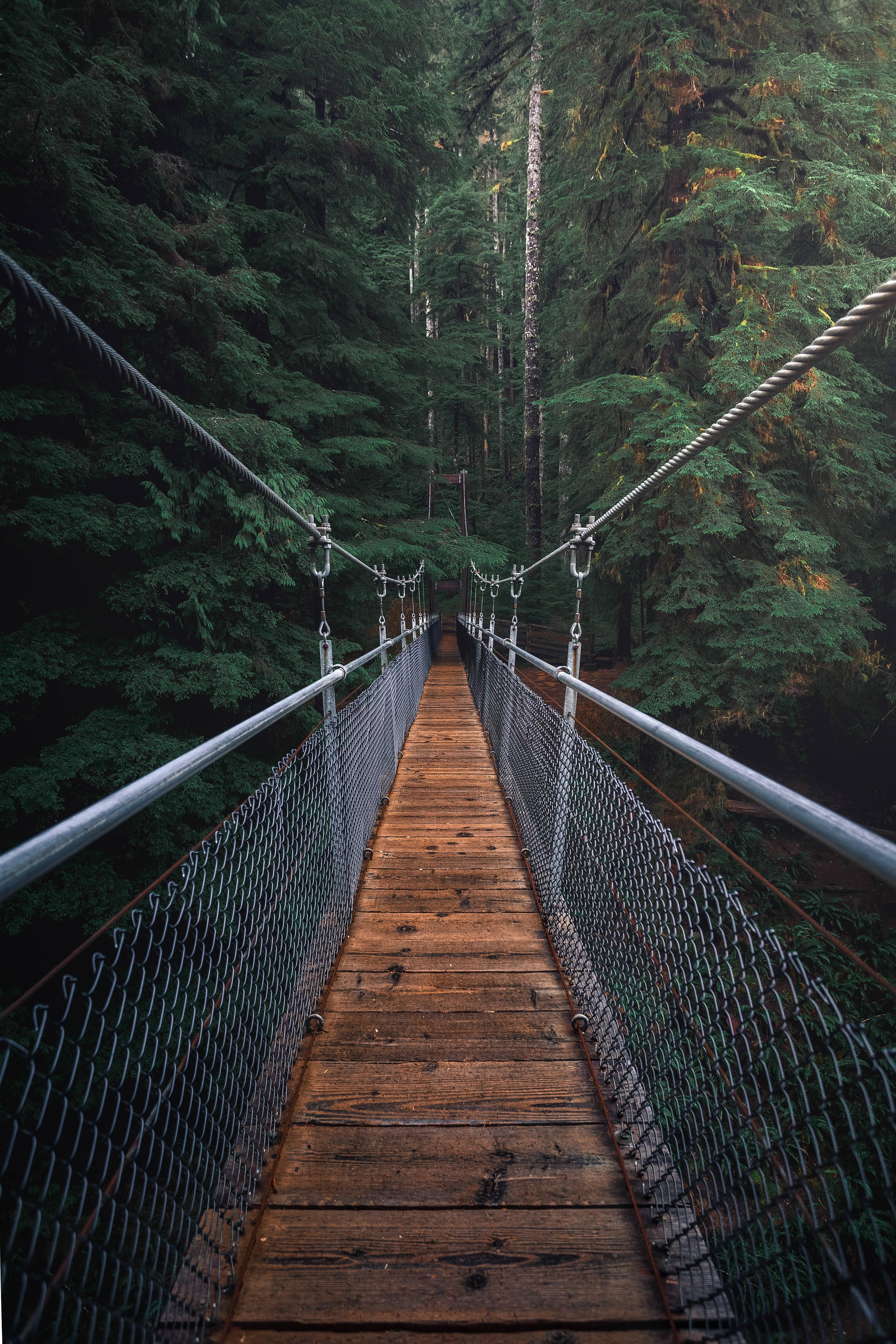 Take a Hike on this Hanging Bridge — 3685x5527 wallpaper