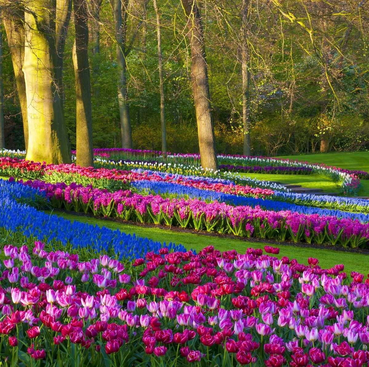 Take a moment to appreciate the beauty of life this Spring — 1200x1195 wallpaper