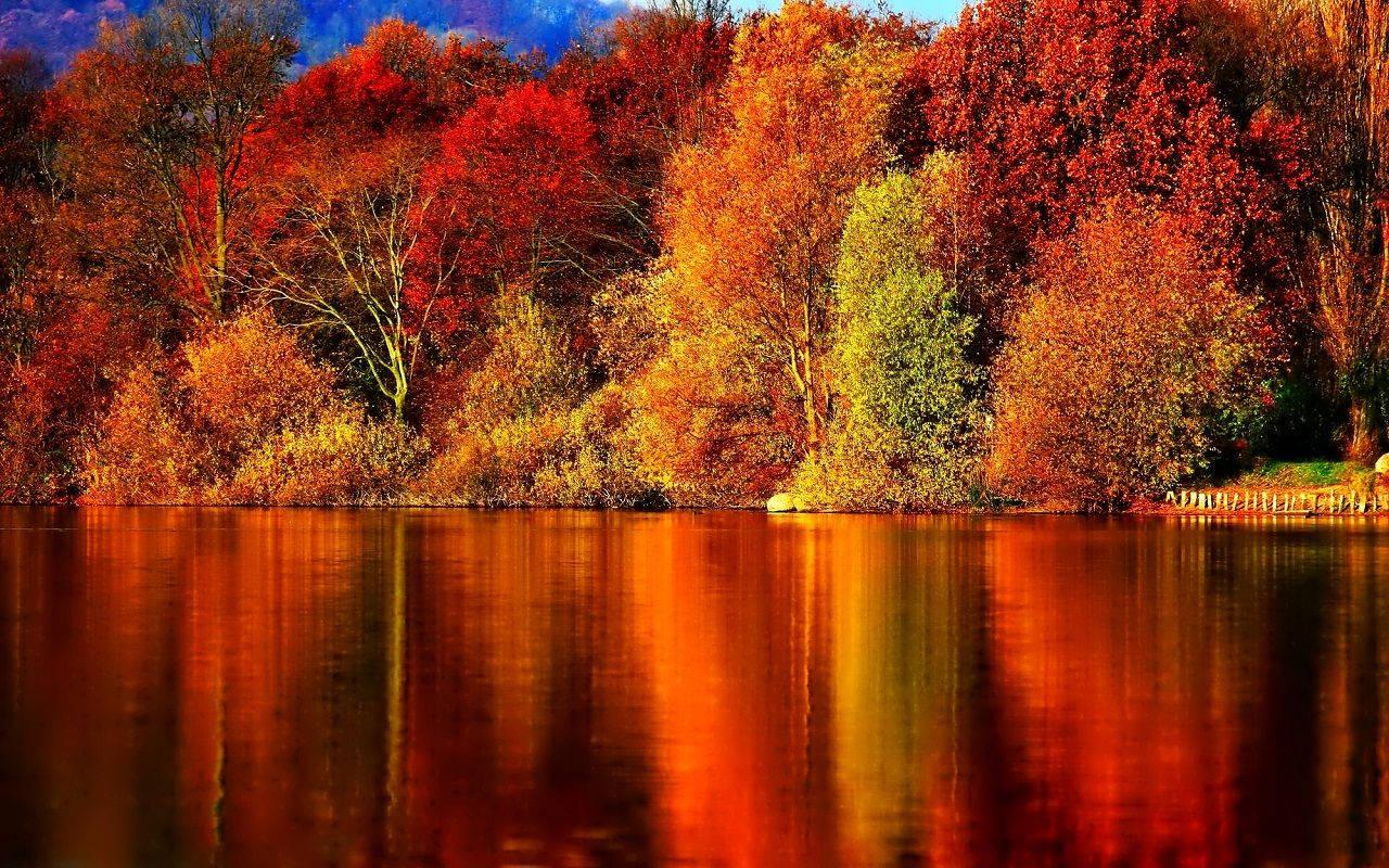 Take a Stroll through Nature this Fall — 1280x800 wallpaper