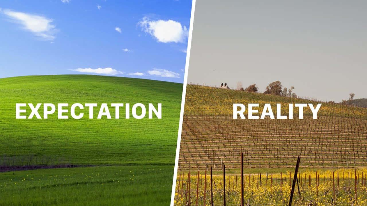 Take a trip down memory lane with Windows XP — 1280x720 wallpaper