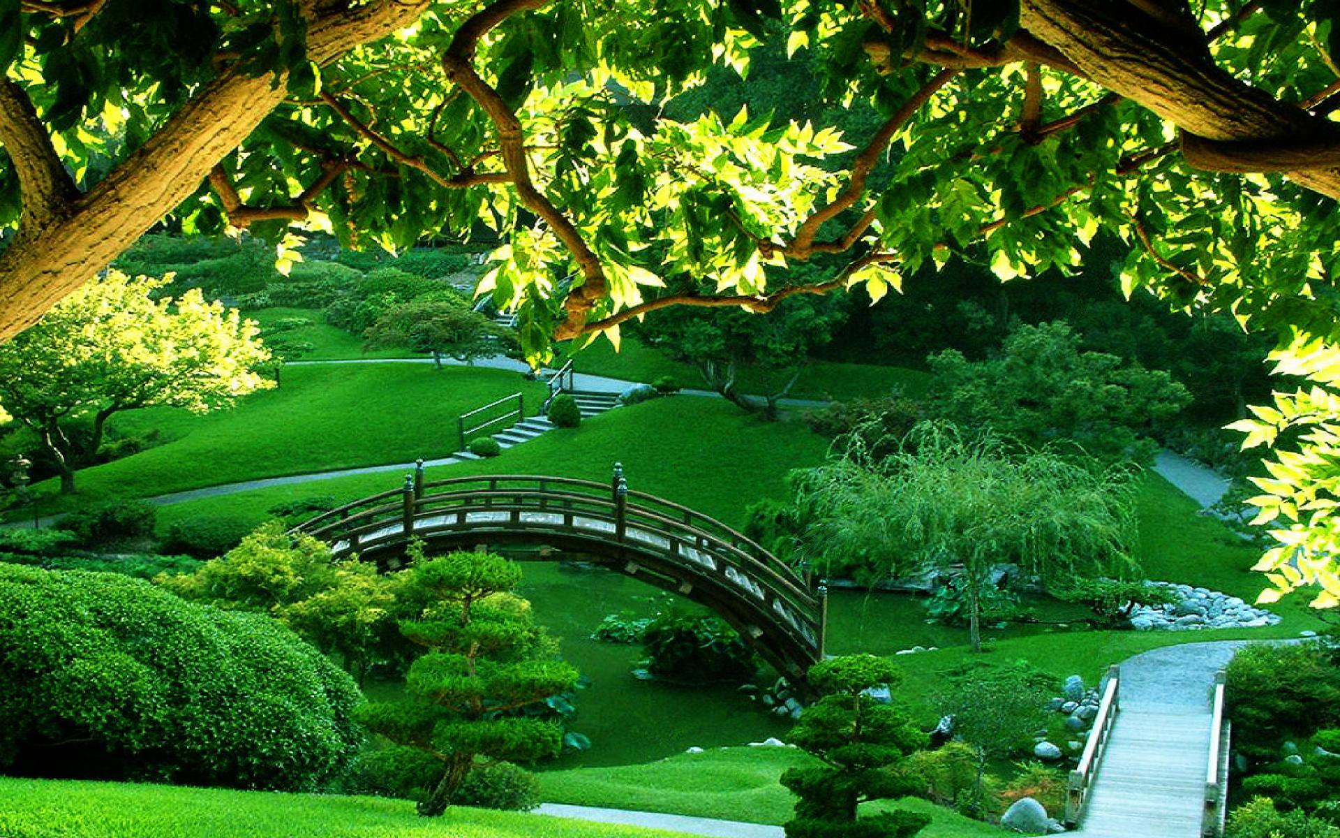 Take a Walk Through Nature — 1920x1200 wallpaper