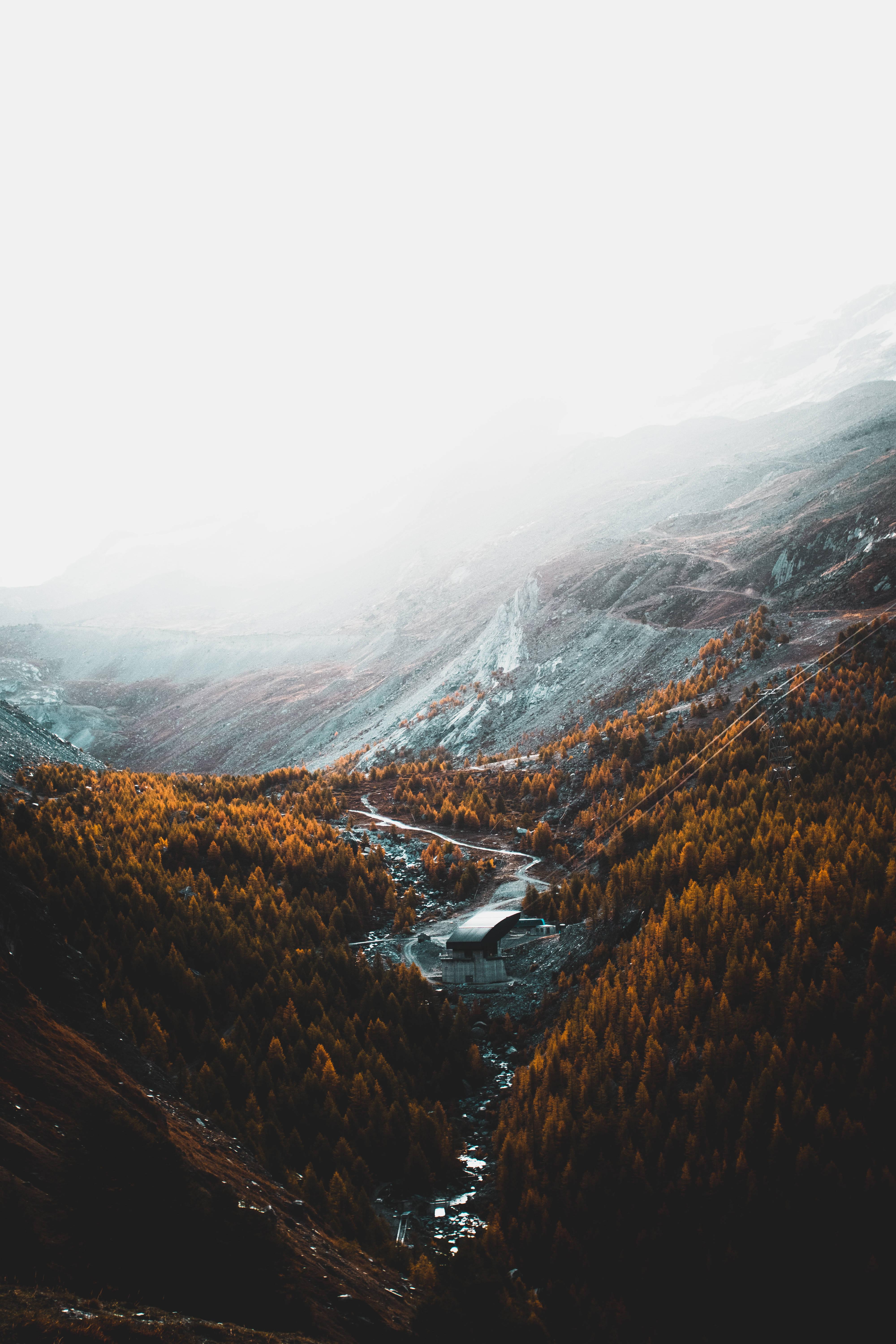 Take in the beautiful fall foliage while admiring the majestic mountain — 4000x6000 wallpaper