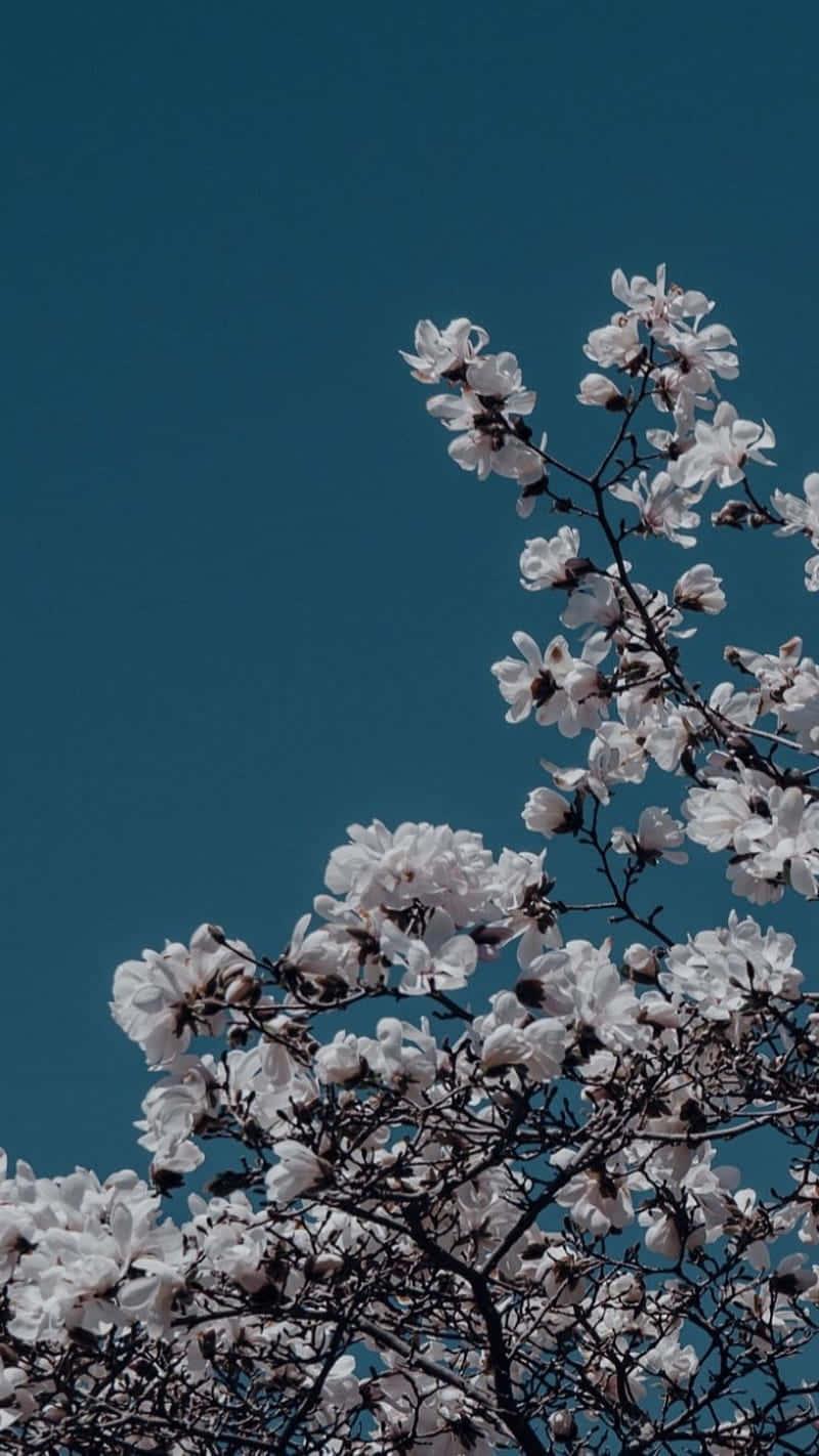 Take some time to relax and enjoy the beauty of the blue aesthetic — 800x1422 wallpaper