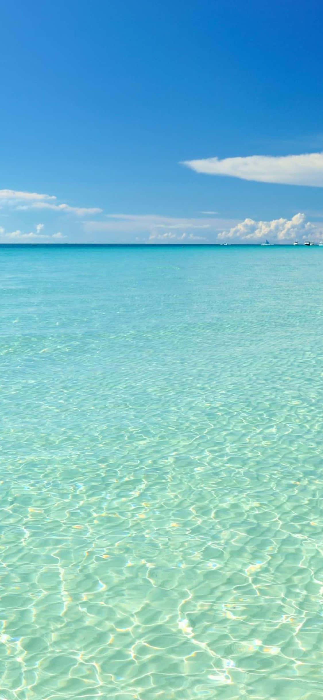 Take Your Summer Adventure of a Lifetime With the iPhone — 1125x2436 wallpaper