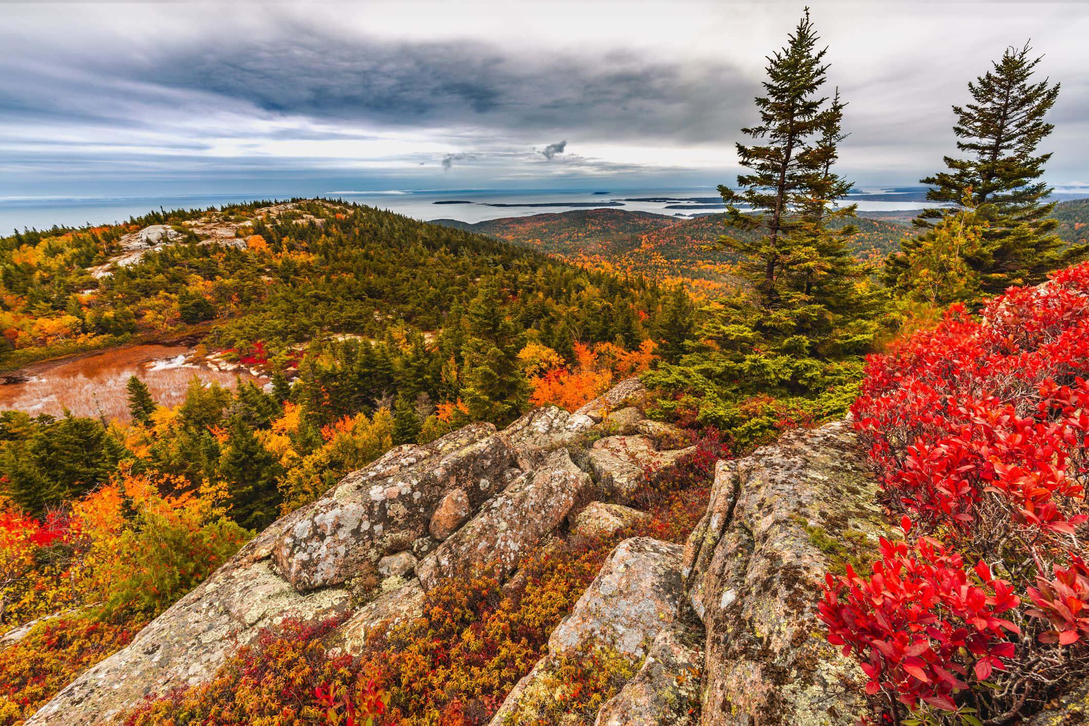 Taking in the sights and sounds of a crisp fall day. — 2120x1414 wallpaper