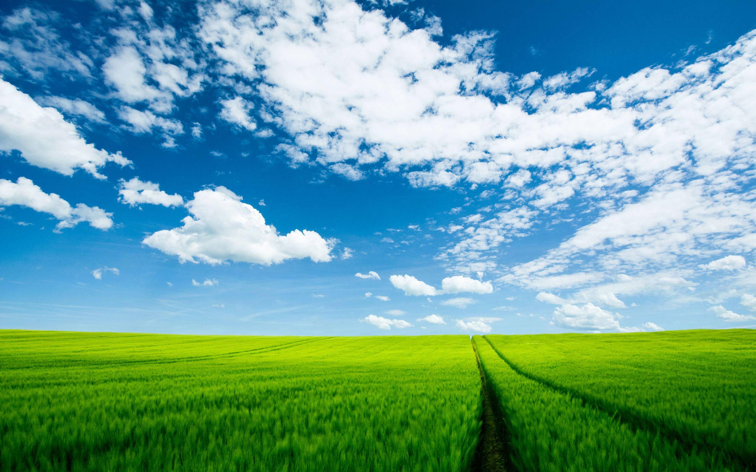 Taking in the View of Nature's Landscape — 2560x1600 wallpaper