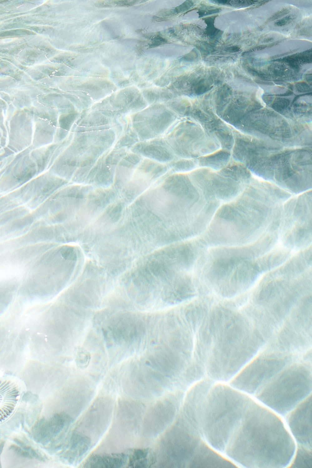Taking it Easy on a Lovely Summer Day — 1000x1499 wallpaper