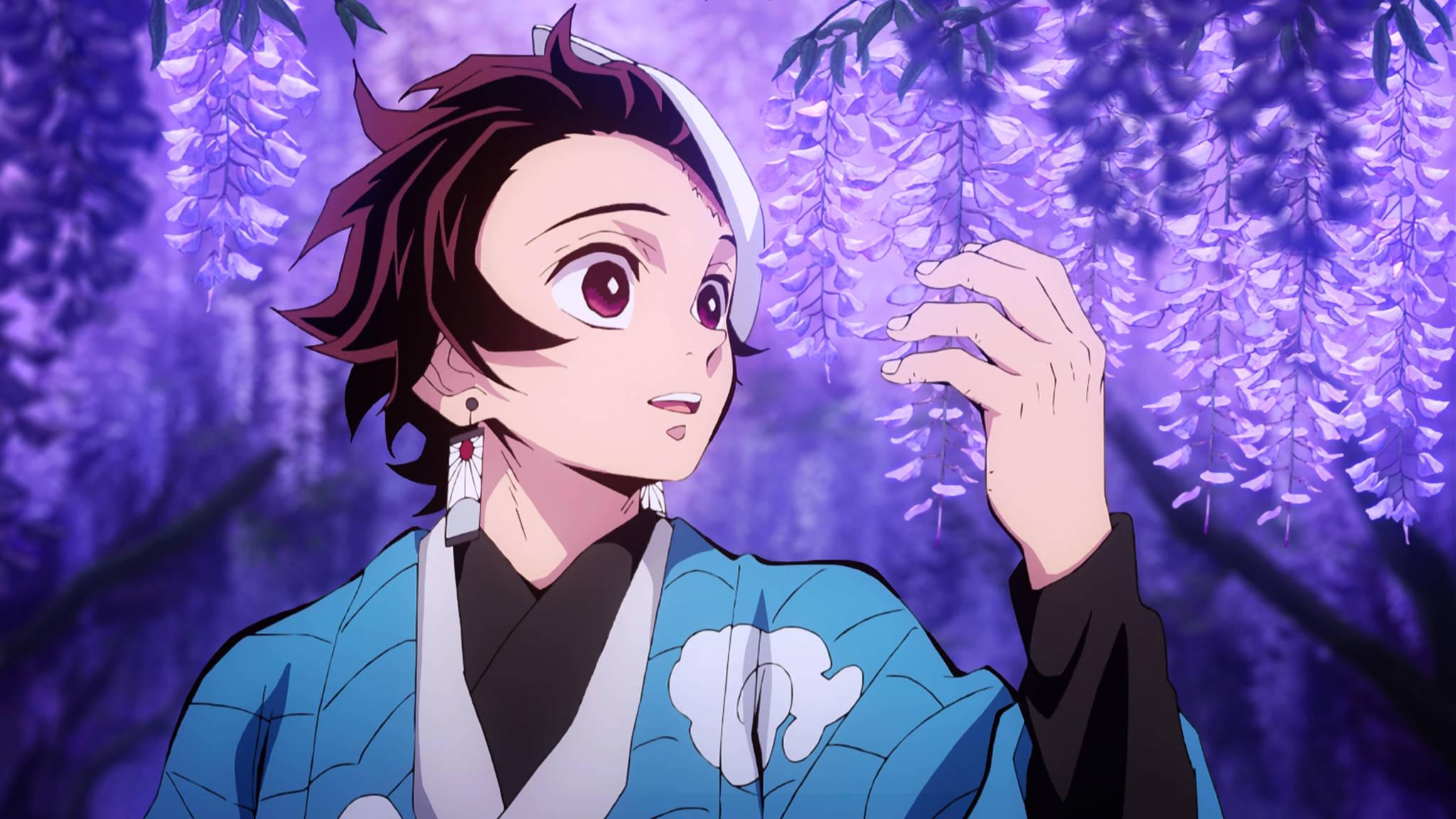 Tanjiro PFP Purple Wisteria Flower — 2048x1152 wallpaper