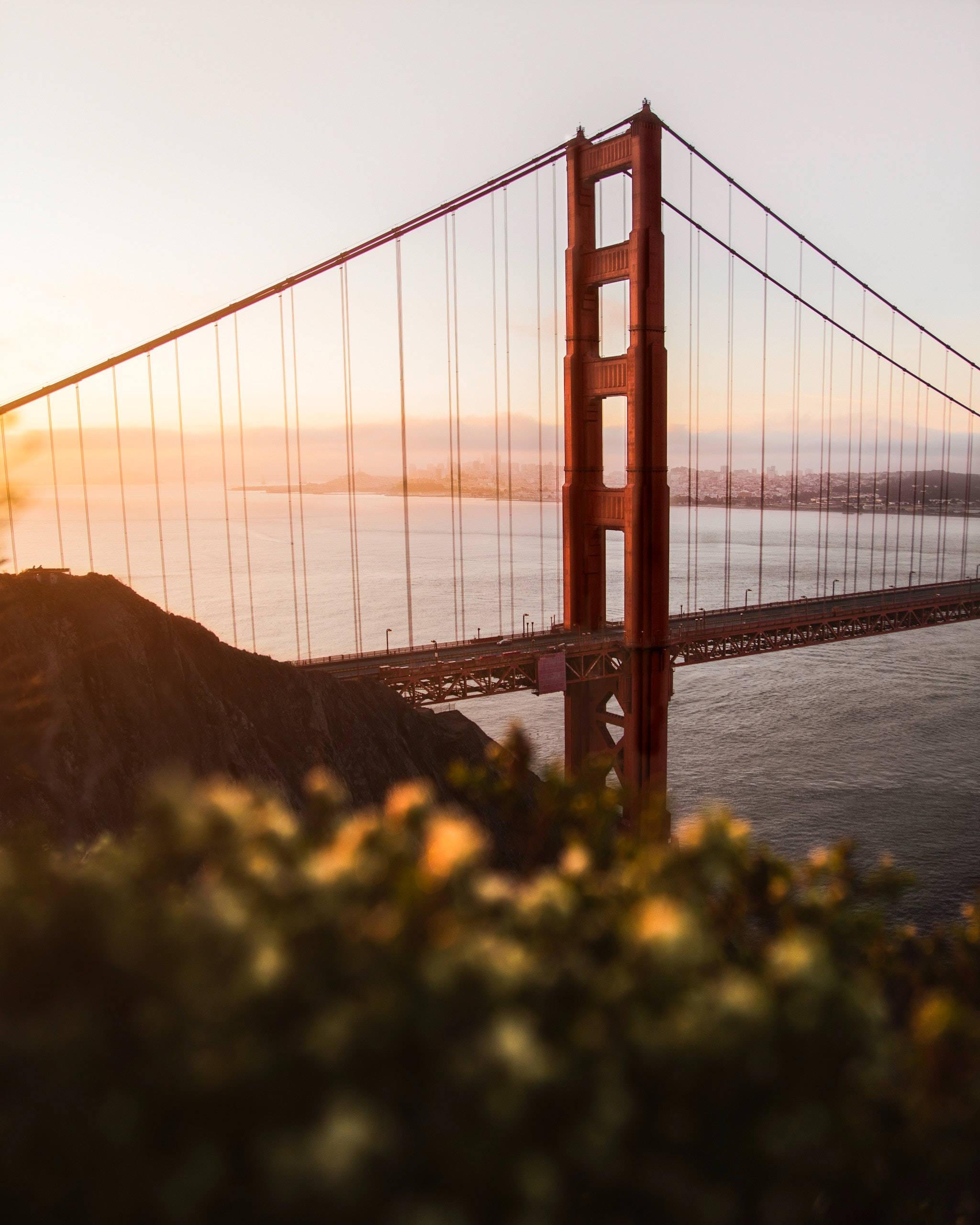 The Android Golden Gate Bridge - Tour San Francisco with your Android device — 2048x2560 wallpaper