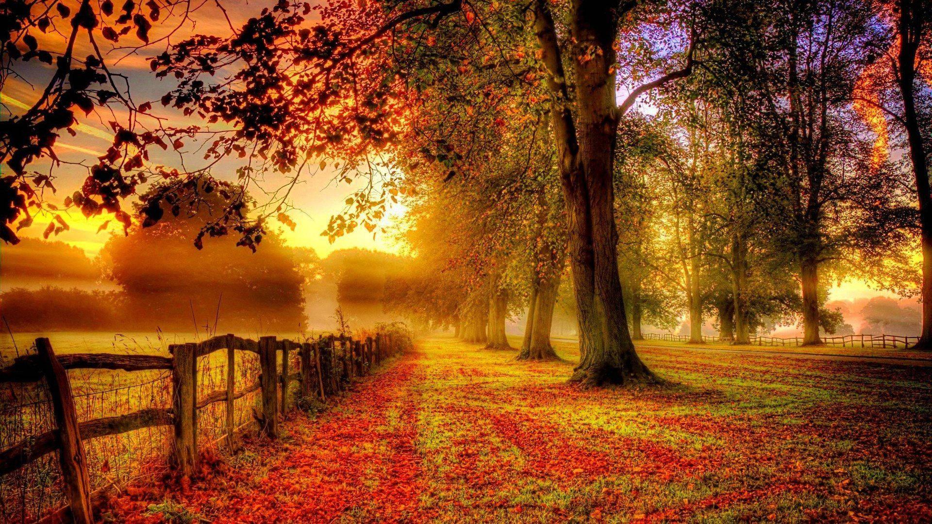 The beauty of Fall — 1920x1080 wallpaper