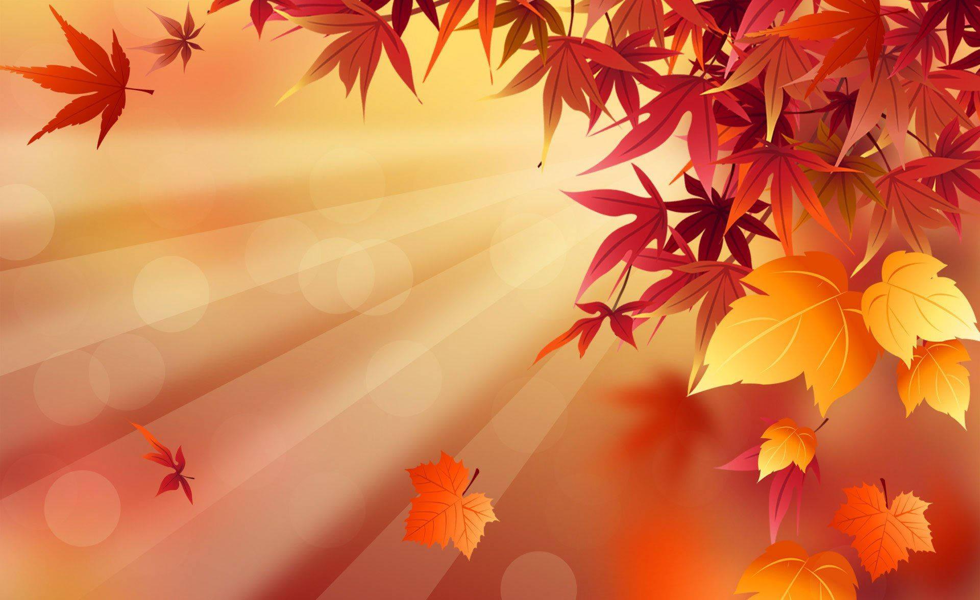 The beauty of Fall, as seen in the vibrant red leaves of the Maple Tree — 1920x1176 wallpaper