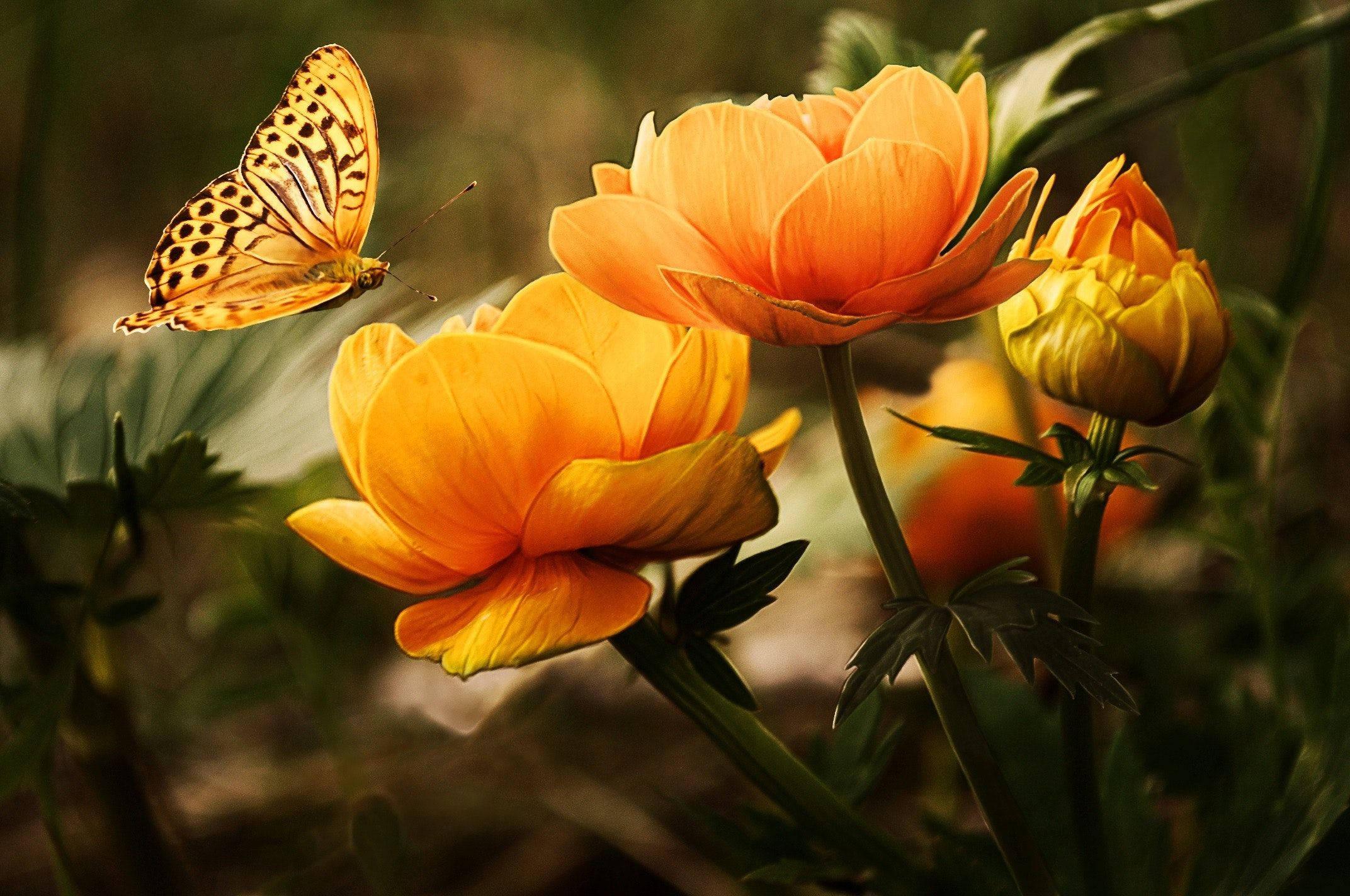 The beauty of life — 2144x1424 wallpaper