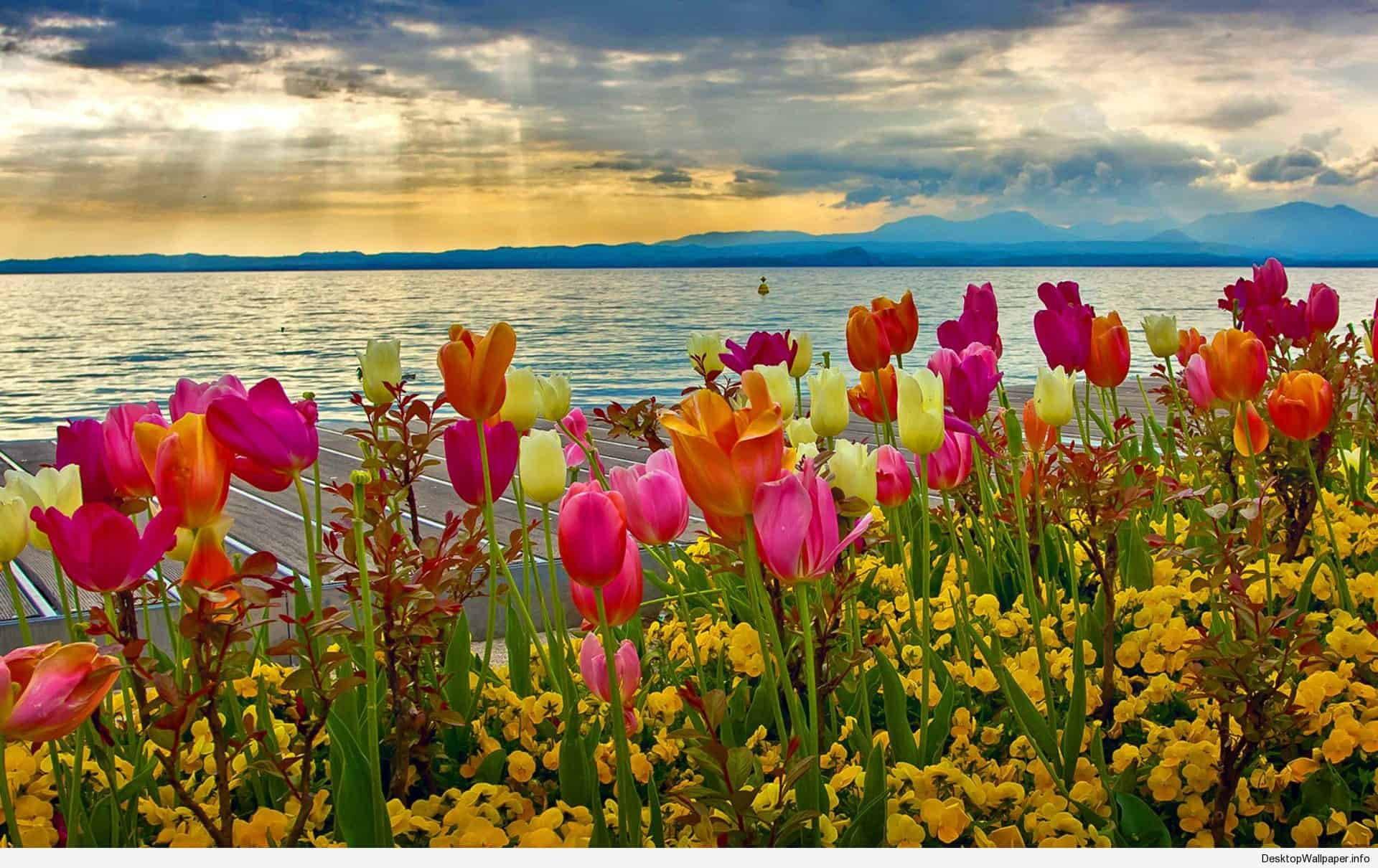 The Beauty of Spring — 1920x1210 wallpaper