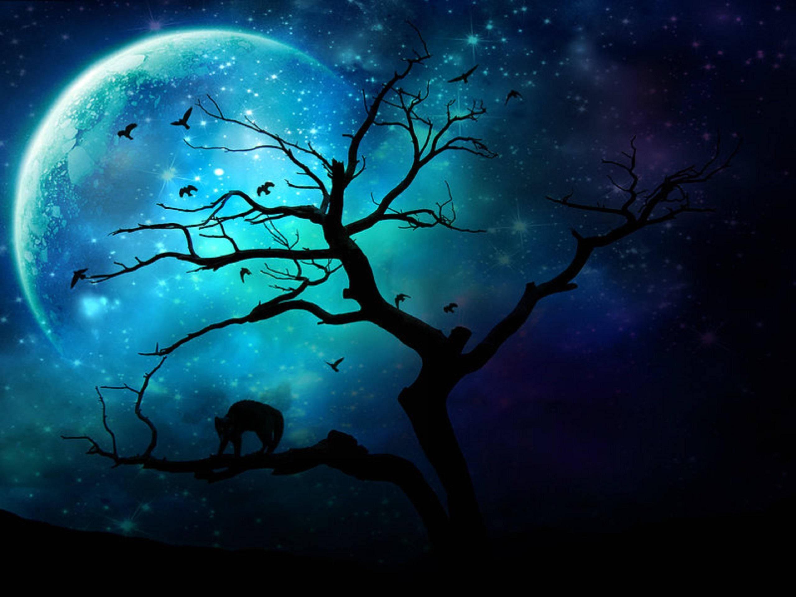 The Dark and Mysterious Moon — 2560x1920 wallpaper