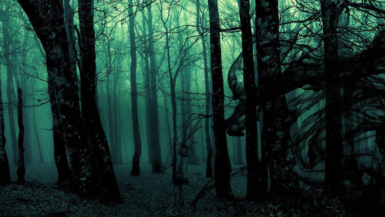 The Dark Woods are Calling — 1244x700 wallpaper