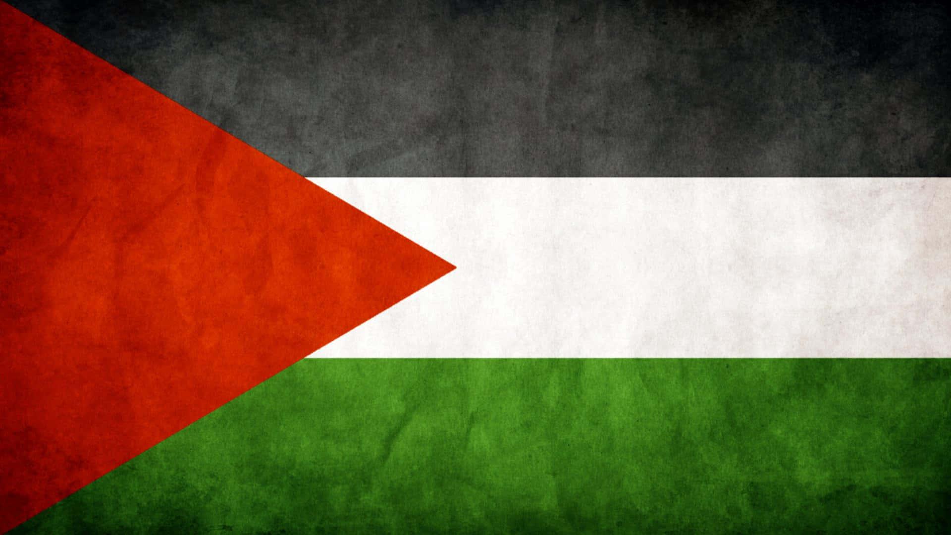 the flag of palestine — 1920x1080 wallpaper