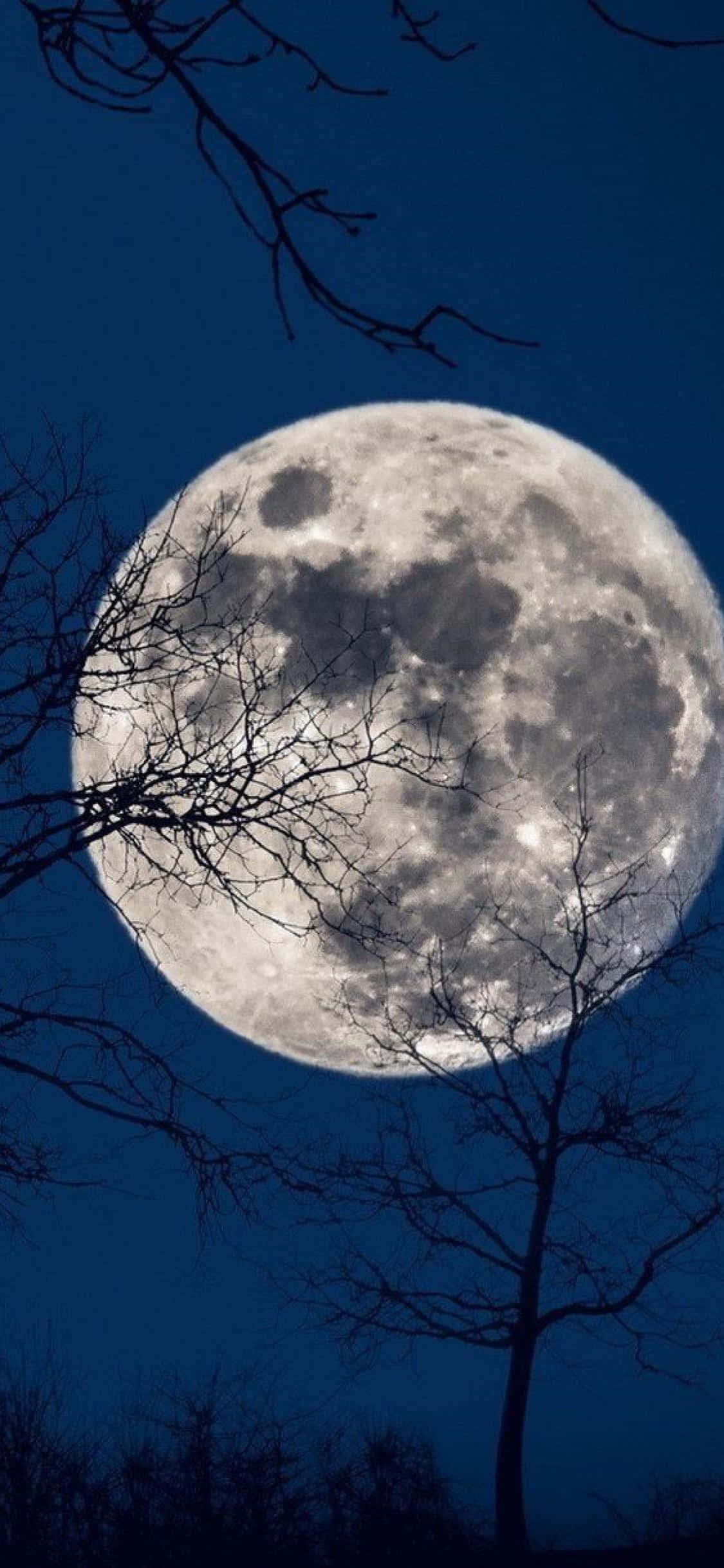 The Full Moon iPhone — 1125x2436 wallpaper