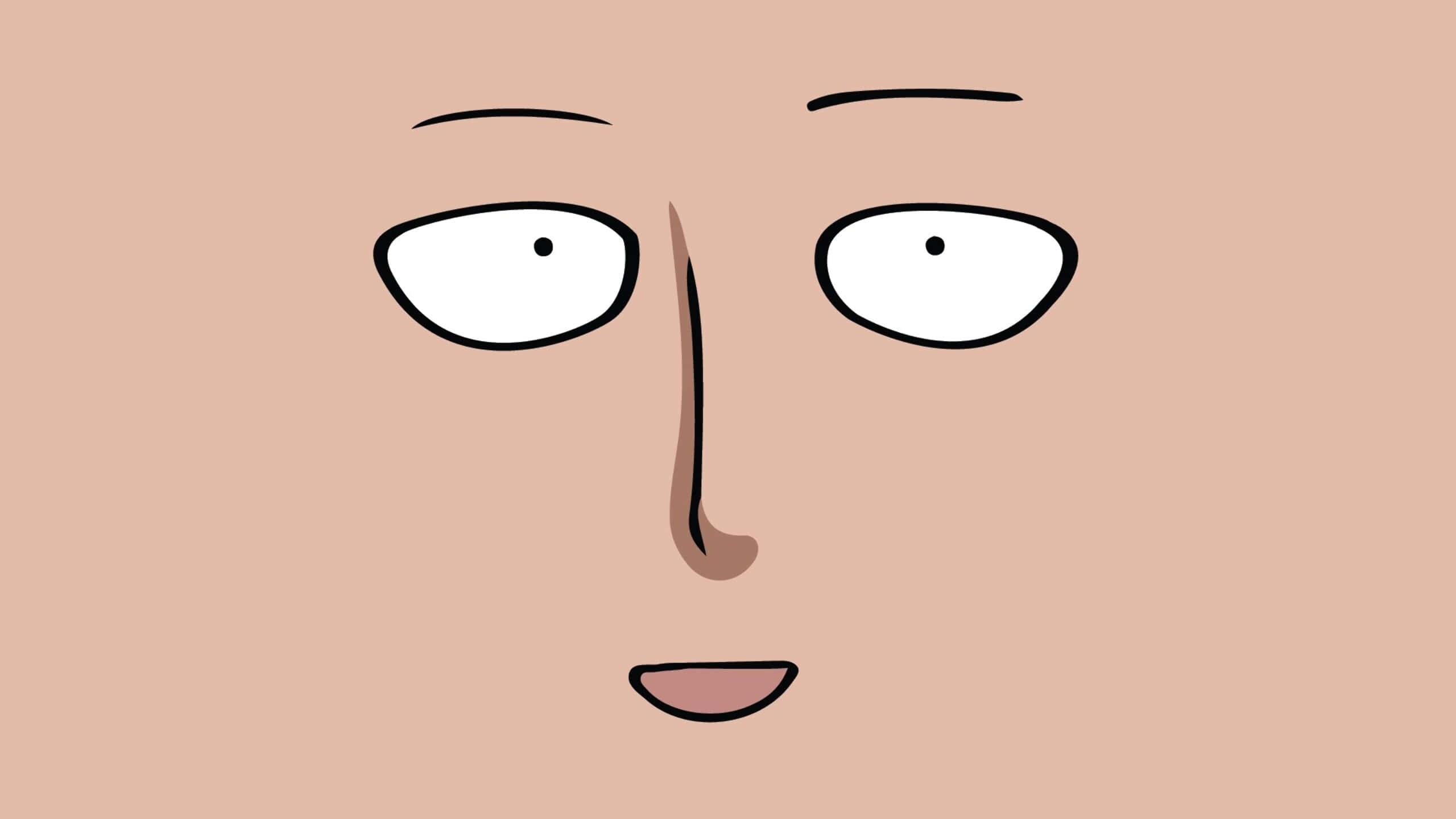 The Hero of Justice, One Punch Man! — 2560x1440 wallpaper