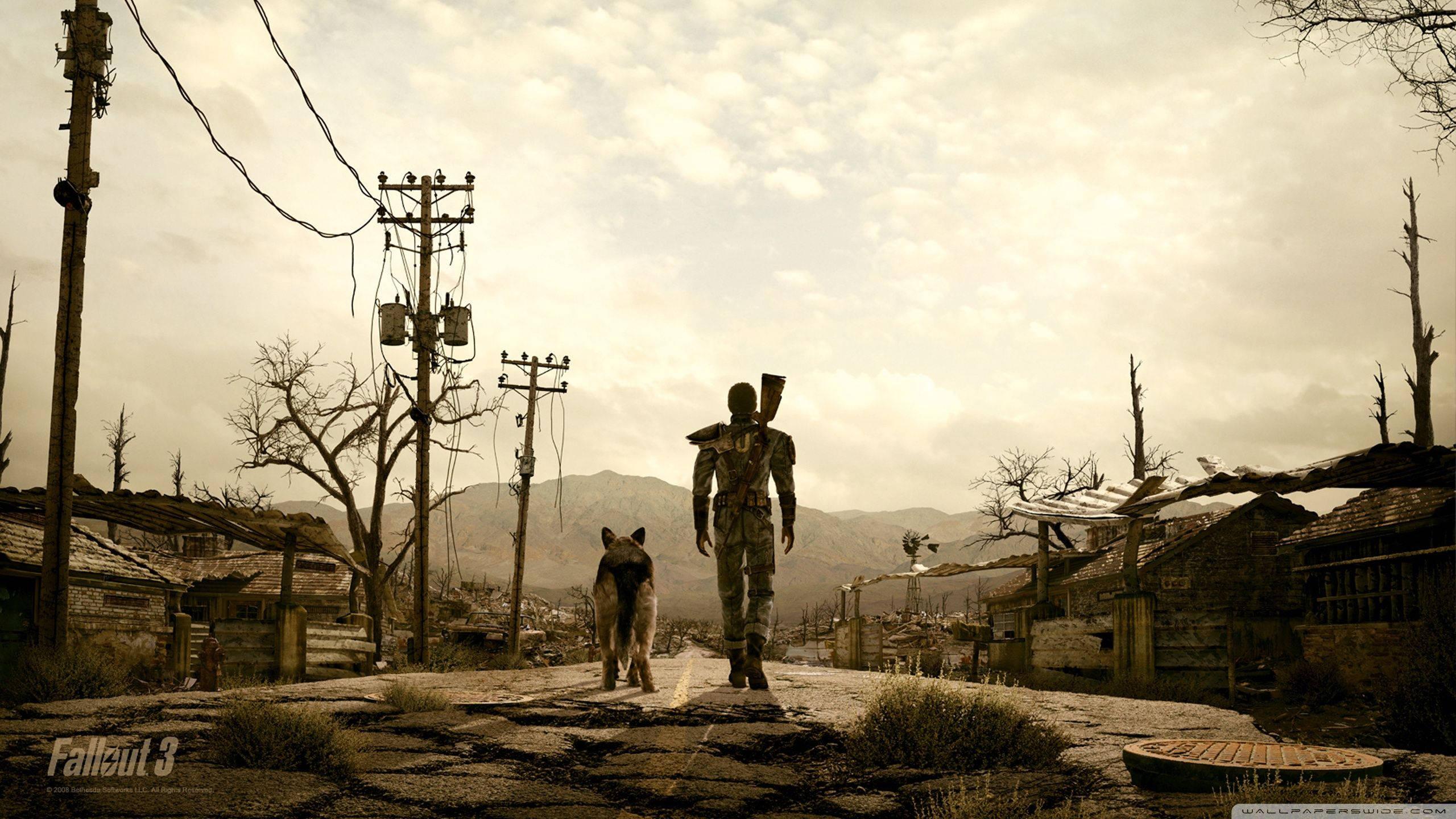 The Lone Wanderer In Fallout 3 — 2560x1440 wallpaper