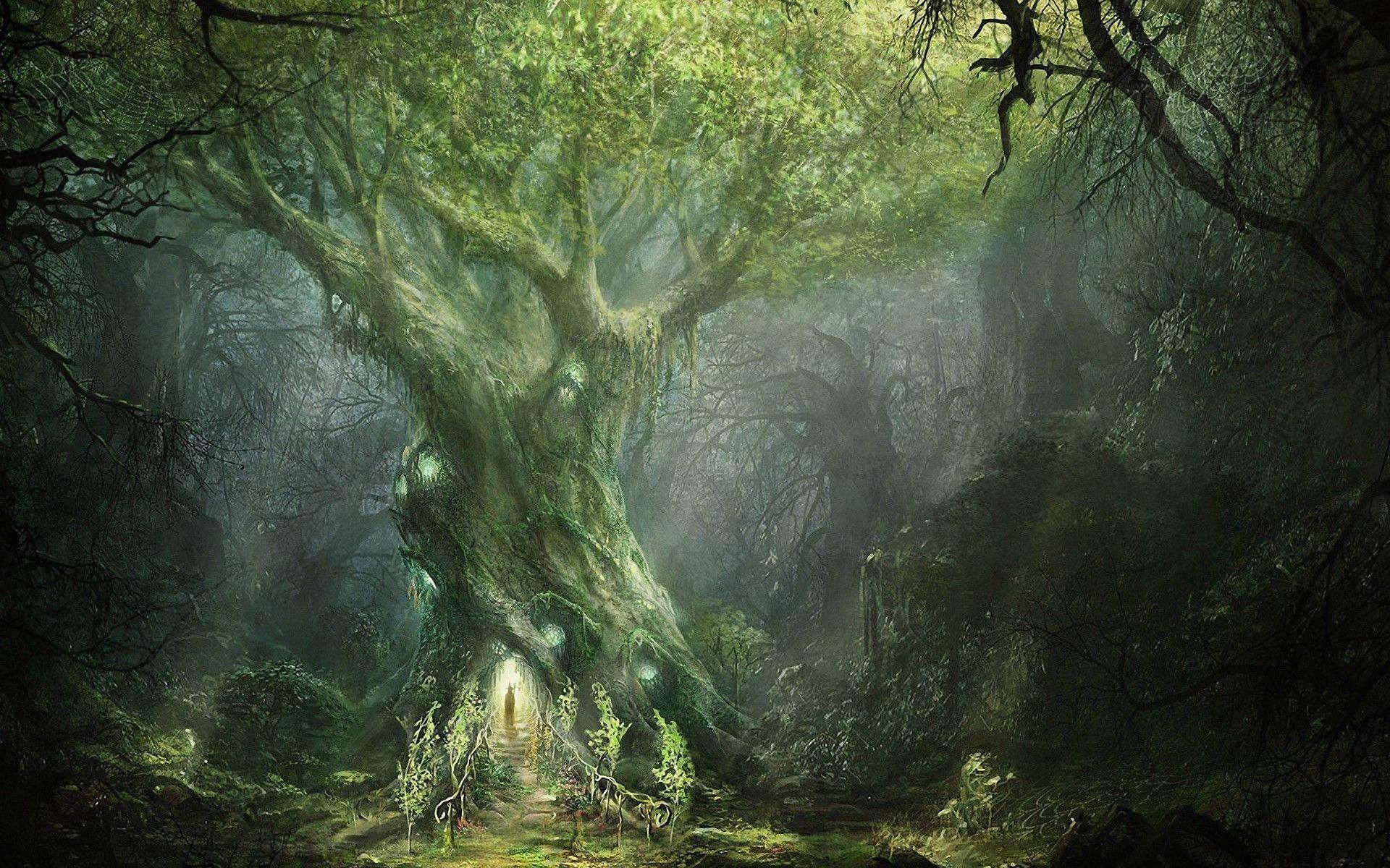The Lord of the Rings: Fellowship of the Ring — 1920x1200 wallpaper