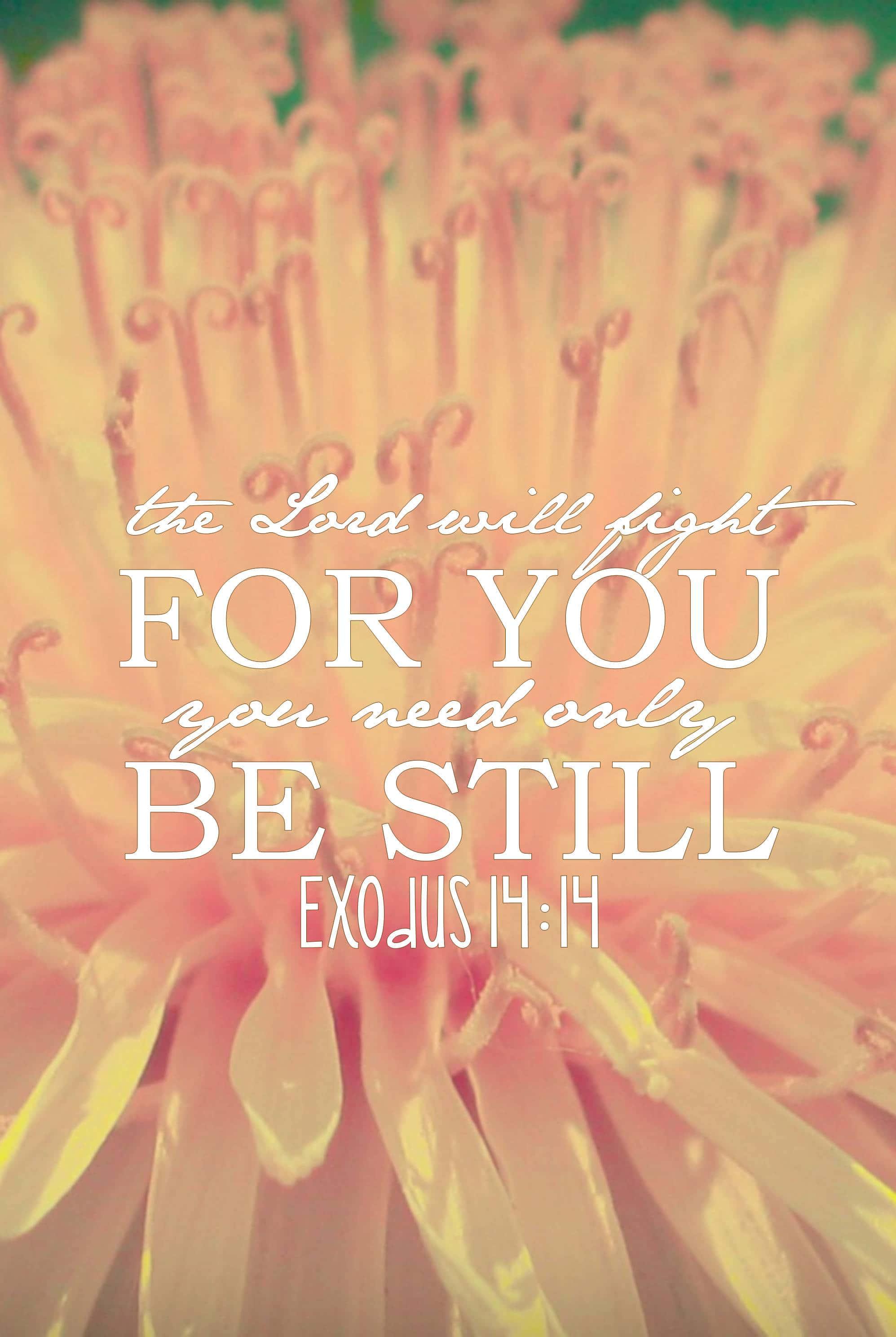 the lord will fight for you, you need only be still exodus 11 — 1995x2976 wallpaper