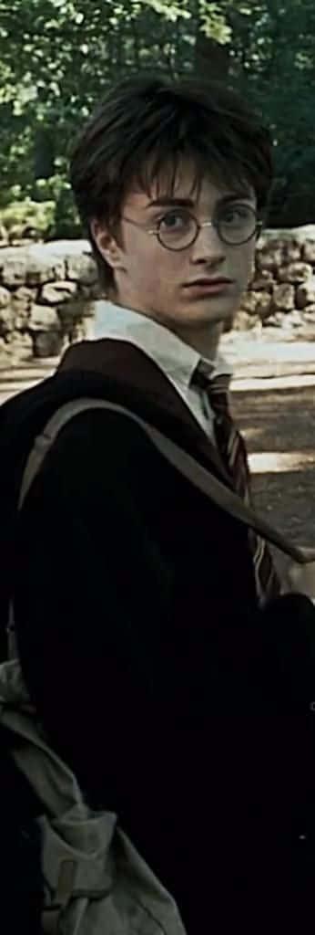 The Magical World of Harry Potter — 346x1024 wallpaper
