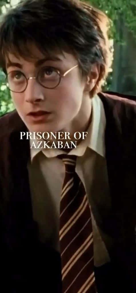 The marauders: Harry Potter and his best friends — 476x1024 wallpaper