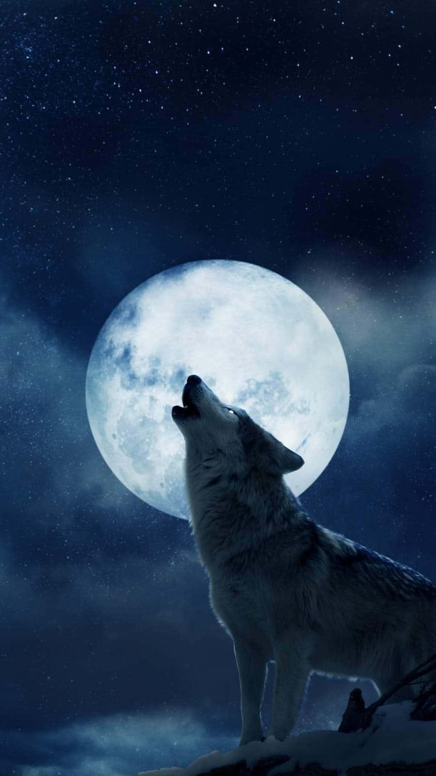 The Moon Iphone Wolf — 900x1600 wallpaper