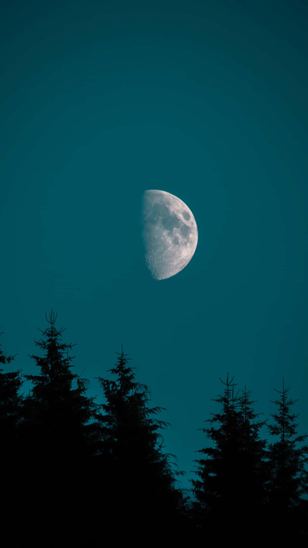 The Moon Silhouette Trees iPhone — 1080x1920 wallpaper