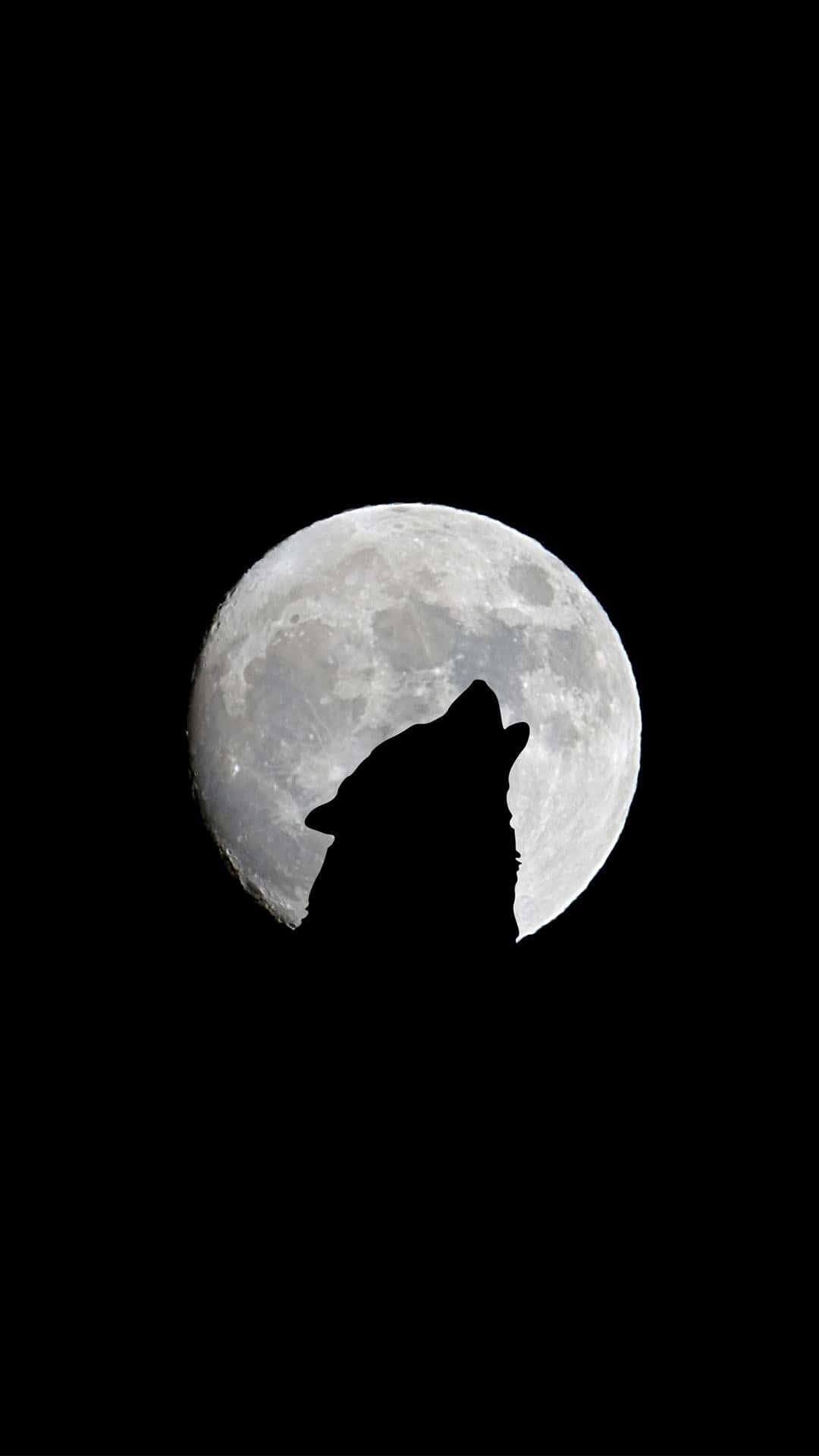 The Moon Silhouette Wolf iPhone — 1080x1920 wallpaper