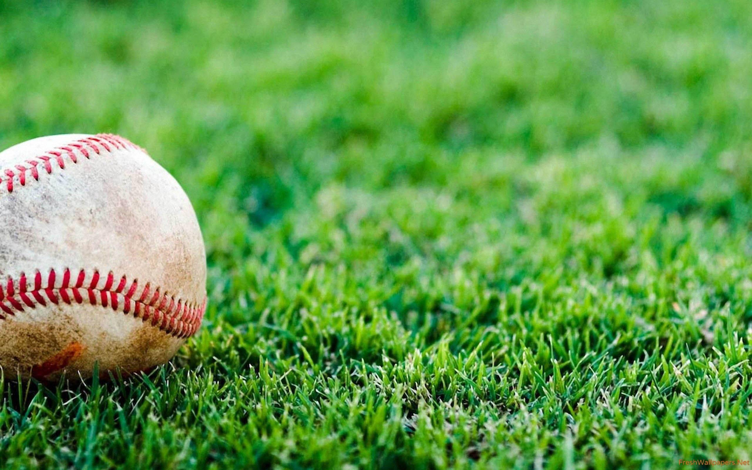 The Natural: A Messy Baseball Field — 2560x1600 wallpaper