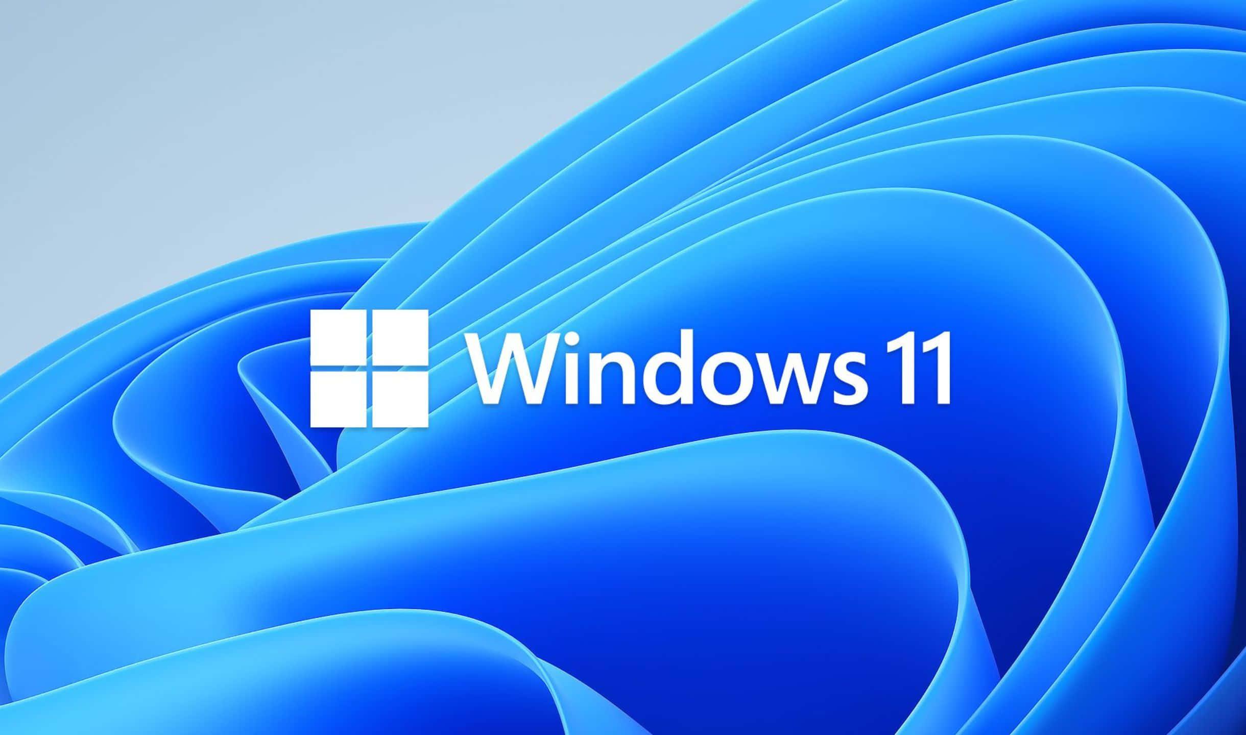 The New Windows 11 Operating System — 2440x1440 wallpaper