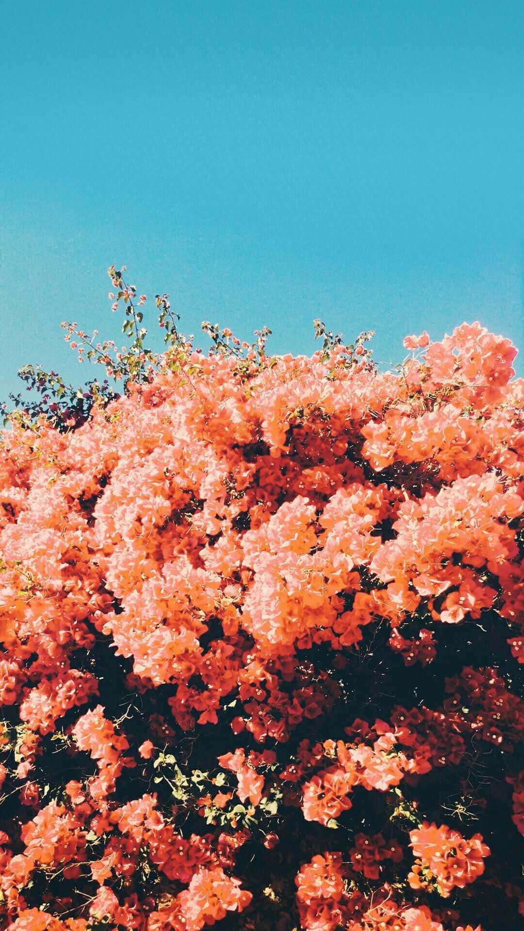 The Perfect iPad Desktop — 1080x1920 wallpaper