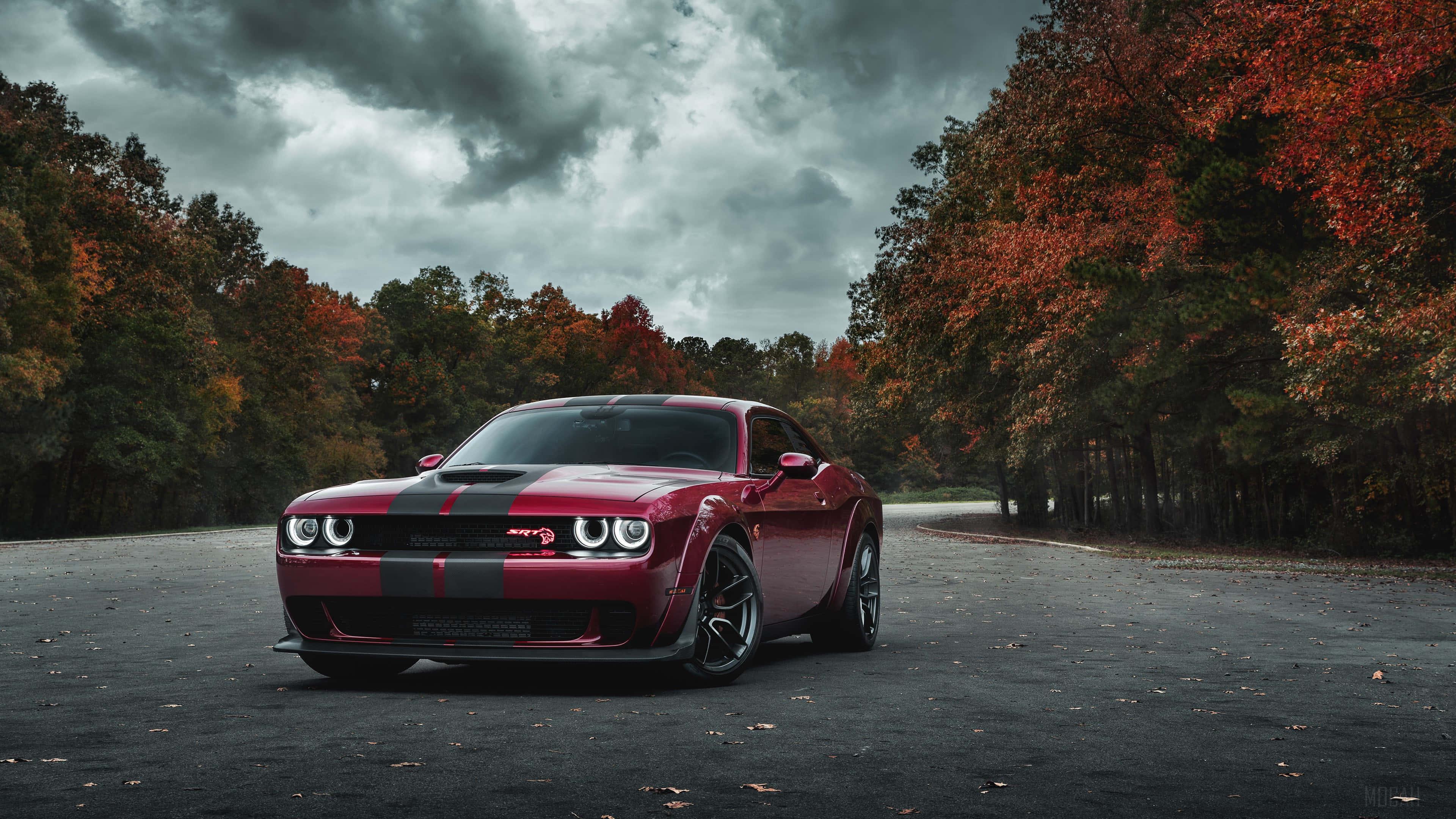 The Striking Dodge Challenger 4K — 3840x2160 wallpaper