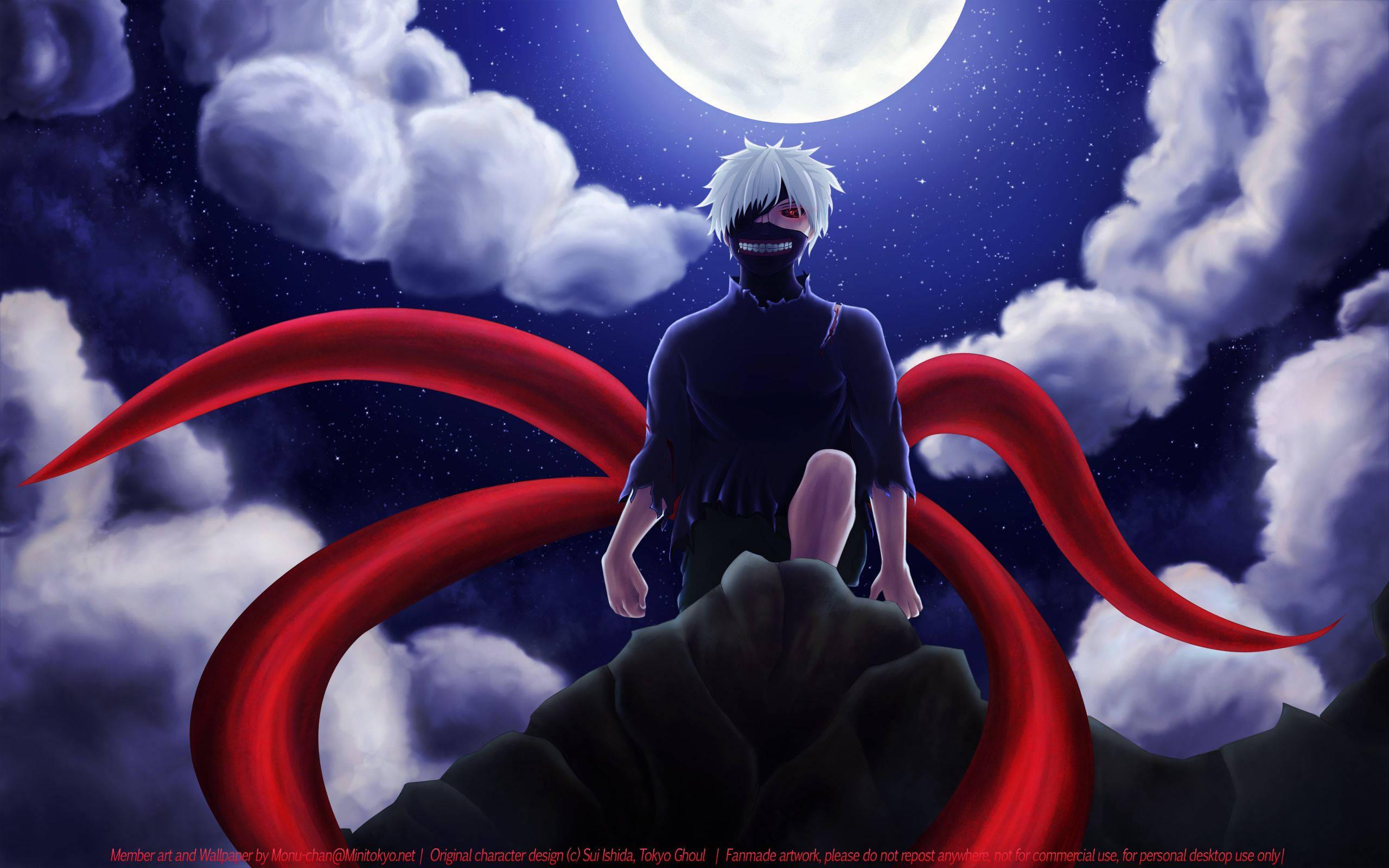 The unpredictable power of the four tails. — 2560x1600 wallpaper