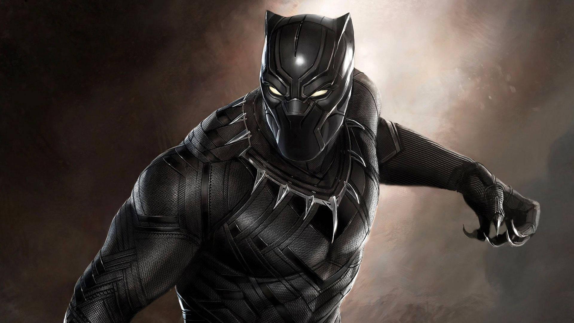 The Warrior King - Black Panther — 1920x1080 wallpaper