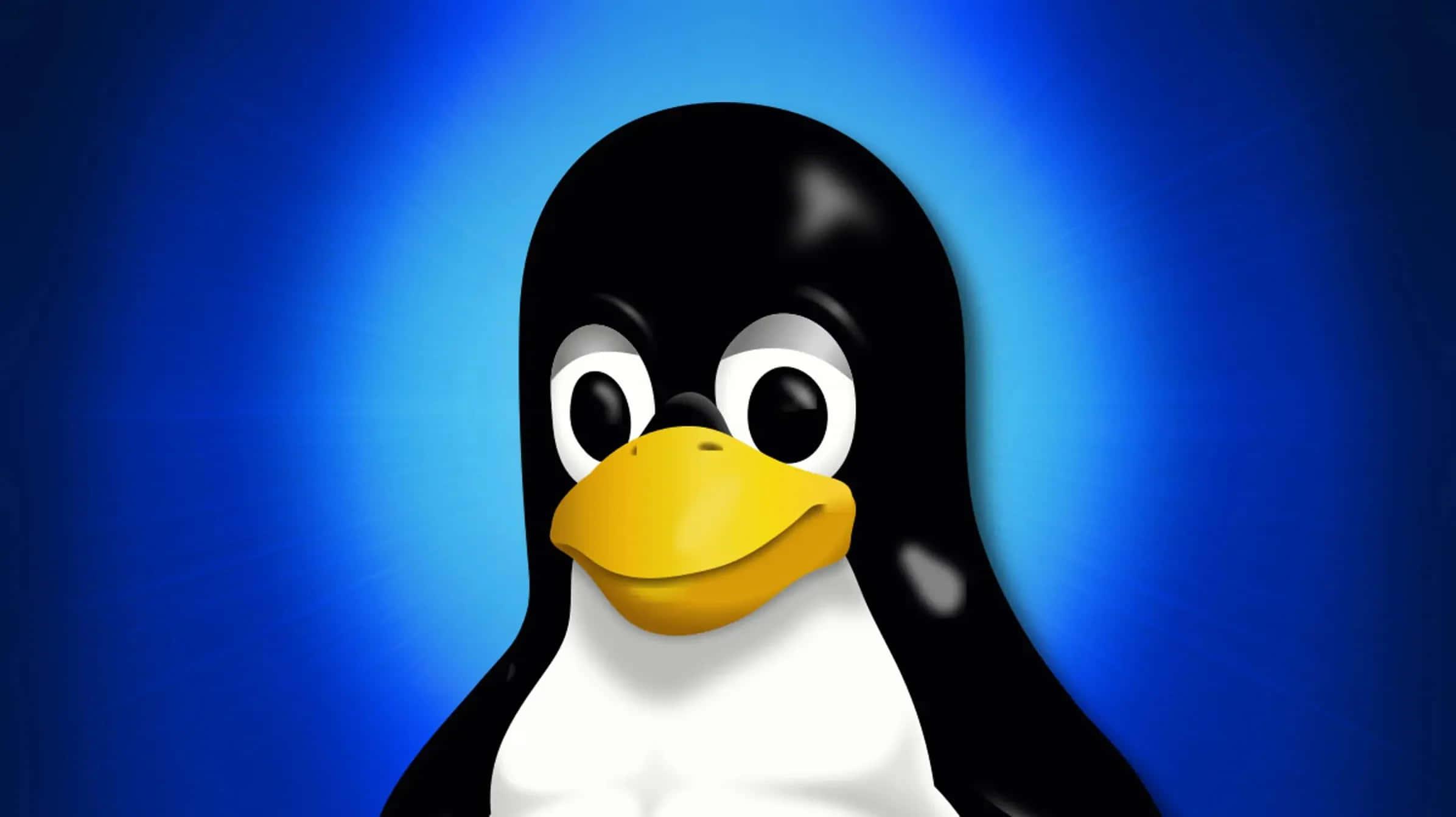 The World of Linux — 2392x1342 wallpaper