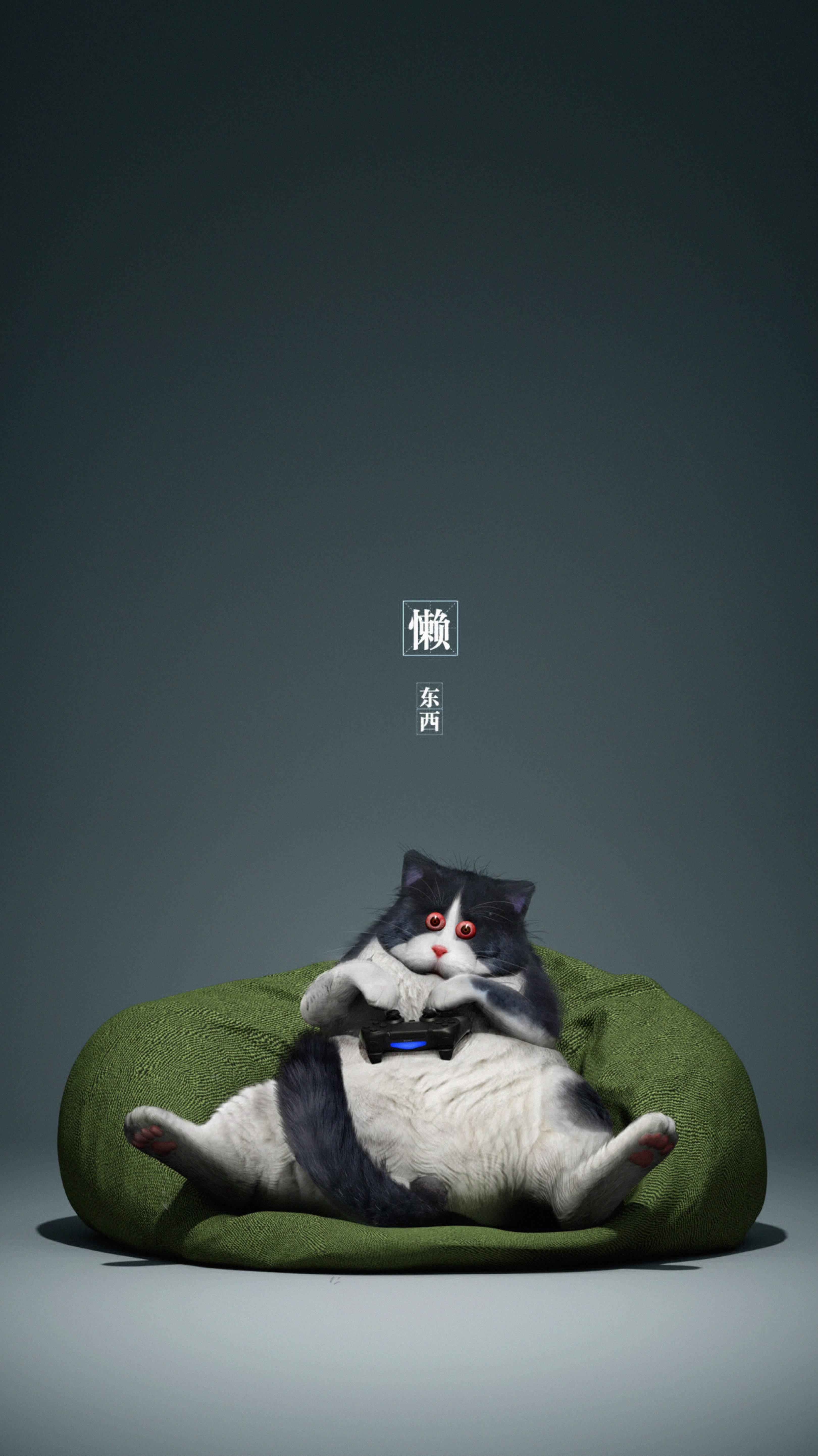 This Cool Cat Is Feeling Lazy — 3240x5765 wallpaper