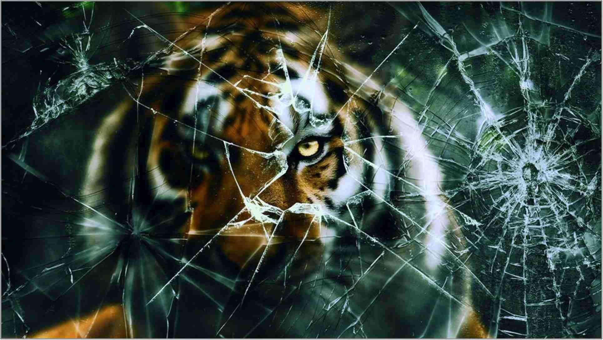Tiger Cracked Screen — 1929x1089 wallpaper