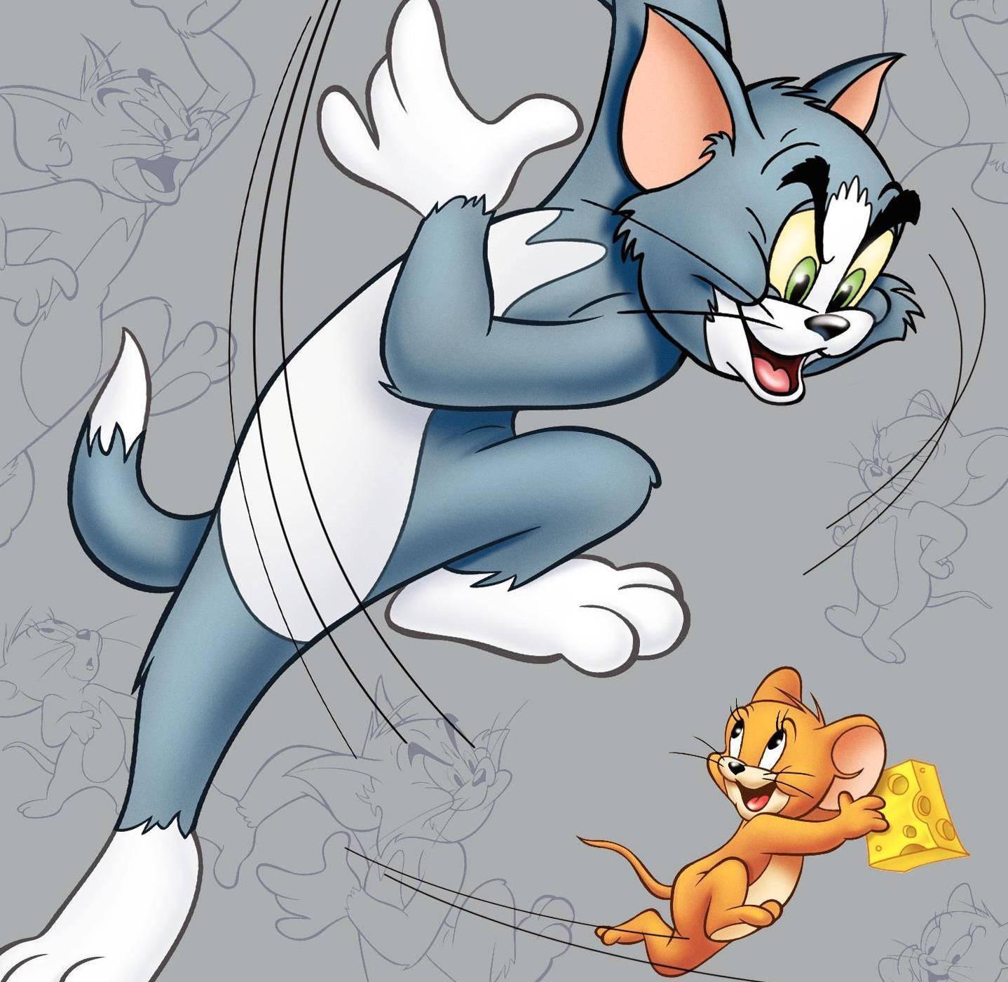 Tom And Jerry Cartoon Chase Art — 1438x1400 wallpaper