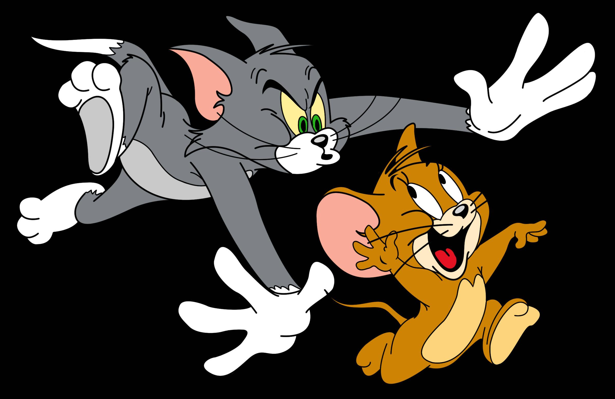 Tom And Jerry Cartoon Chase Down — 2395x1556 wallpaper