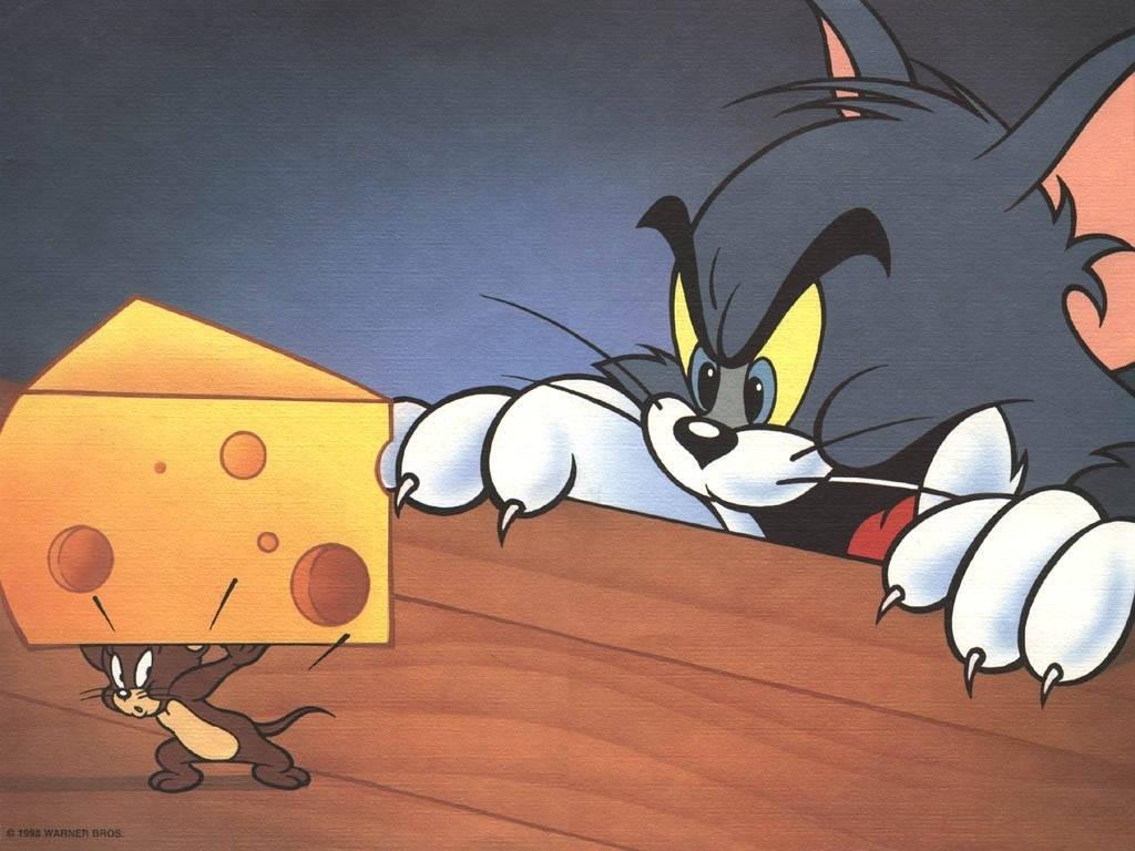 Tom And Jerry Cartoon Cheese — 1024x768 wallpaper