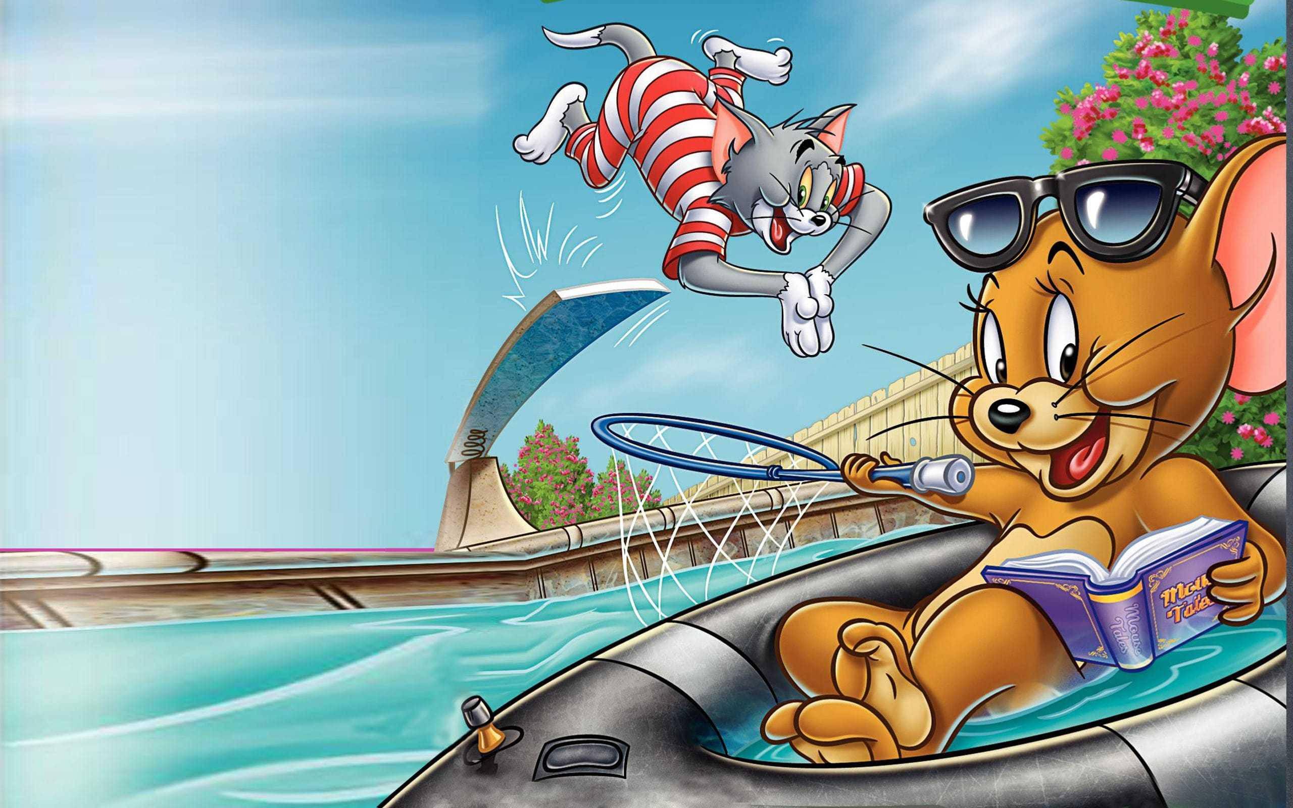Tom And Jerry Cartoon Fur Flying — 2560x1600 wallpaper