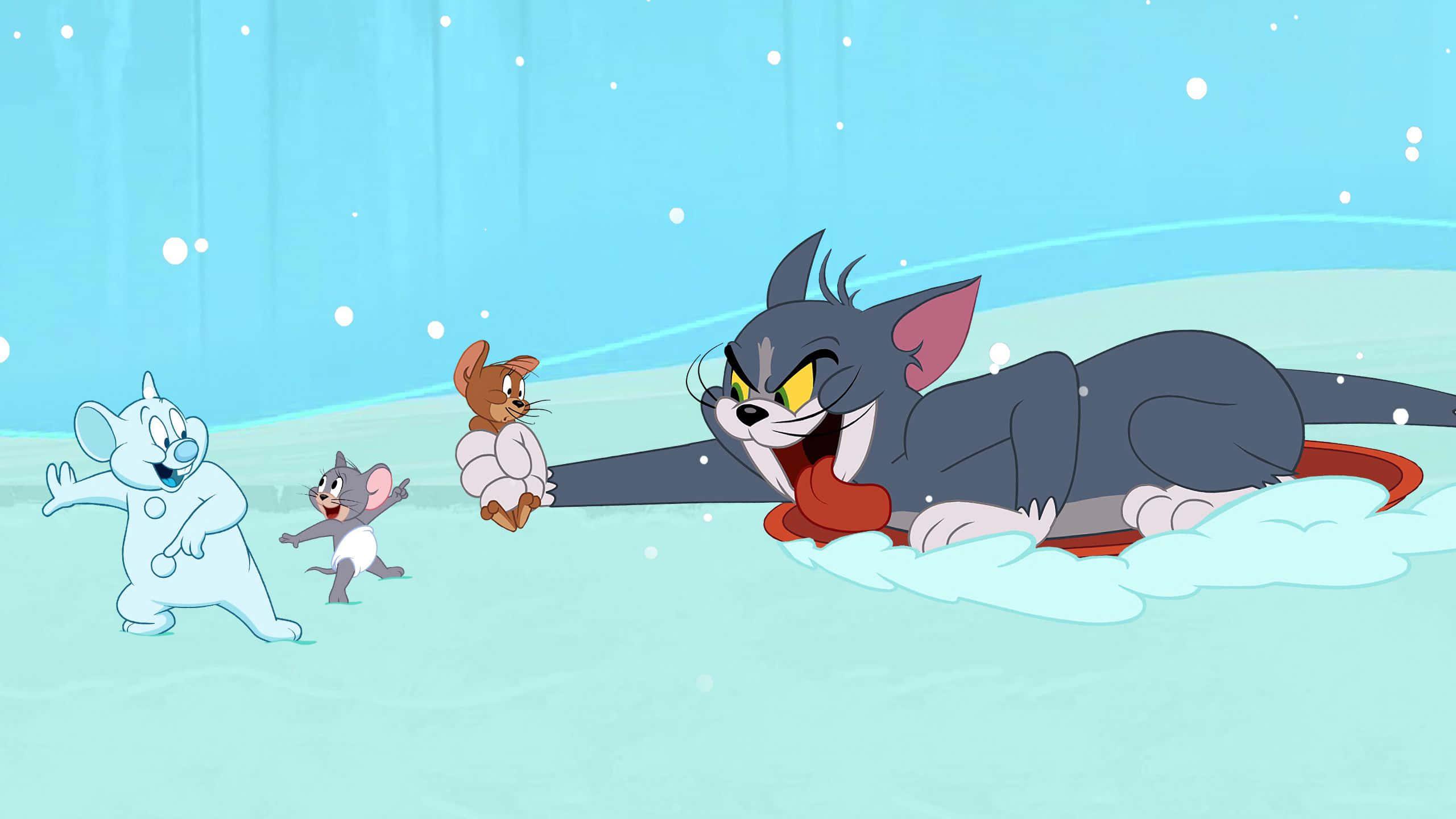 Tom and Jerry chase each other in a never ending game of tag — 2560x1440 wallpaper