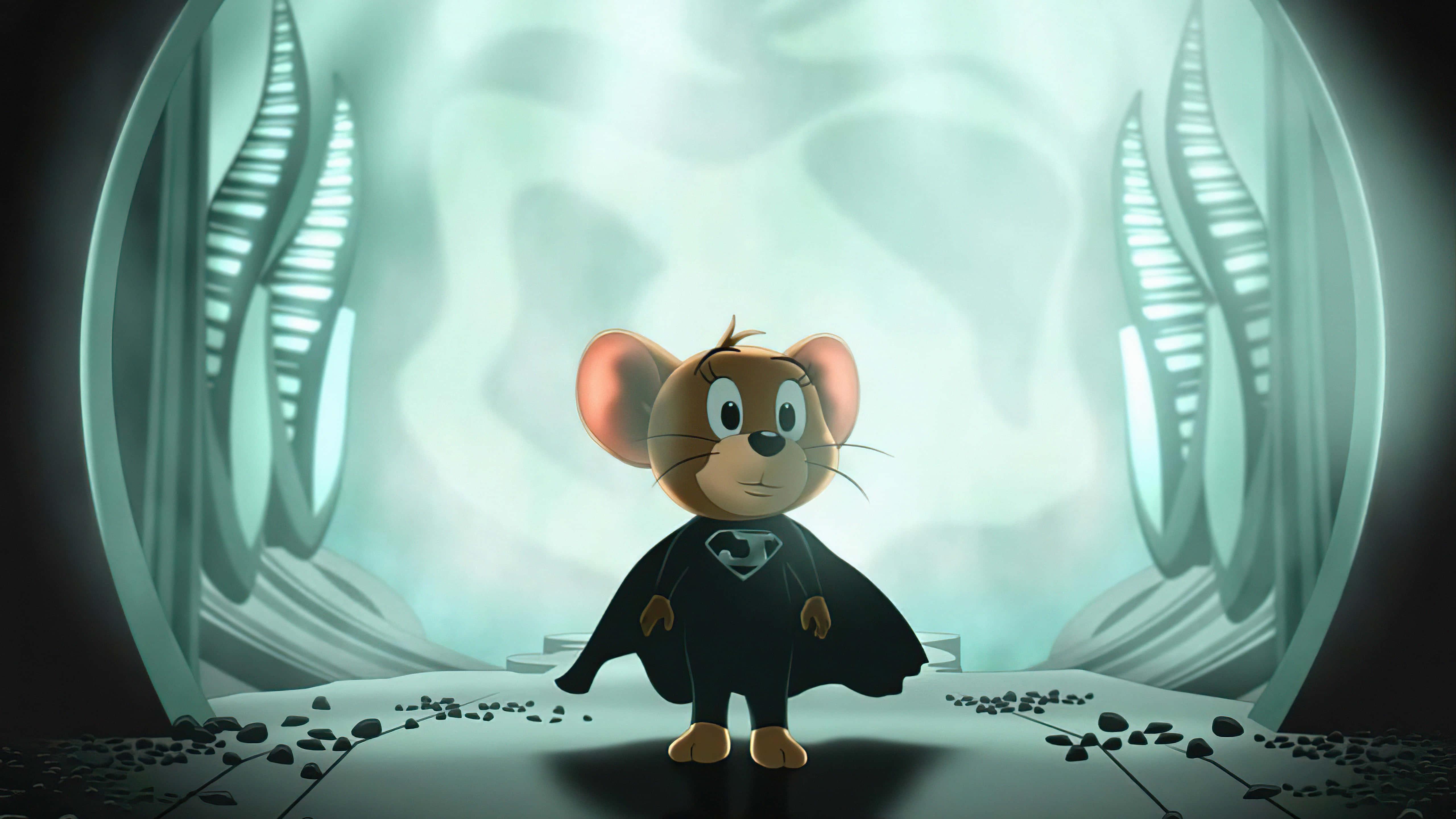 Tom and Jerry Classic: Battle of Wits — 5120x2880 wallpaper
