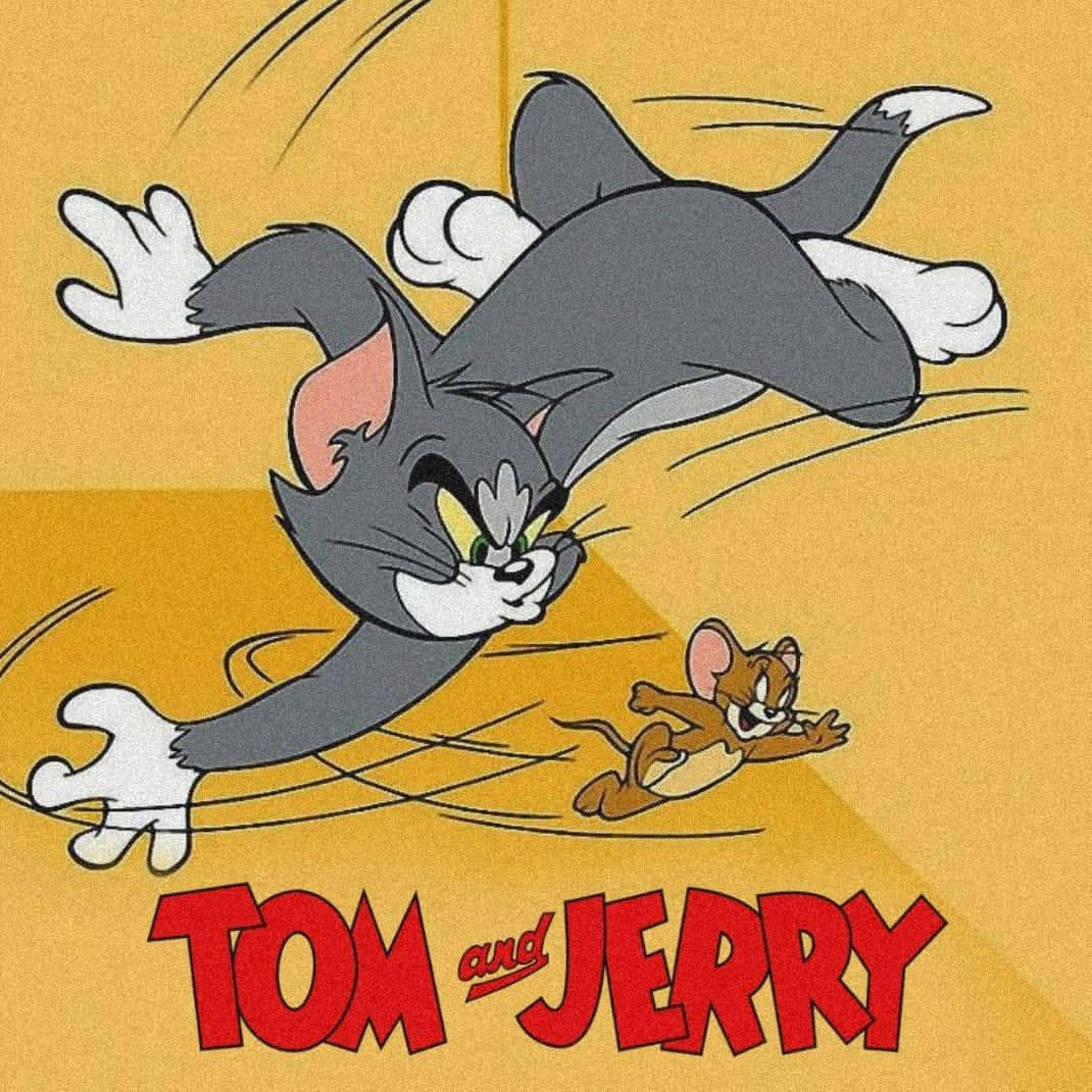 Tom and Jerry Having an Unplannned Adventure — 1070x1070 wallpaper