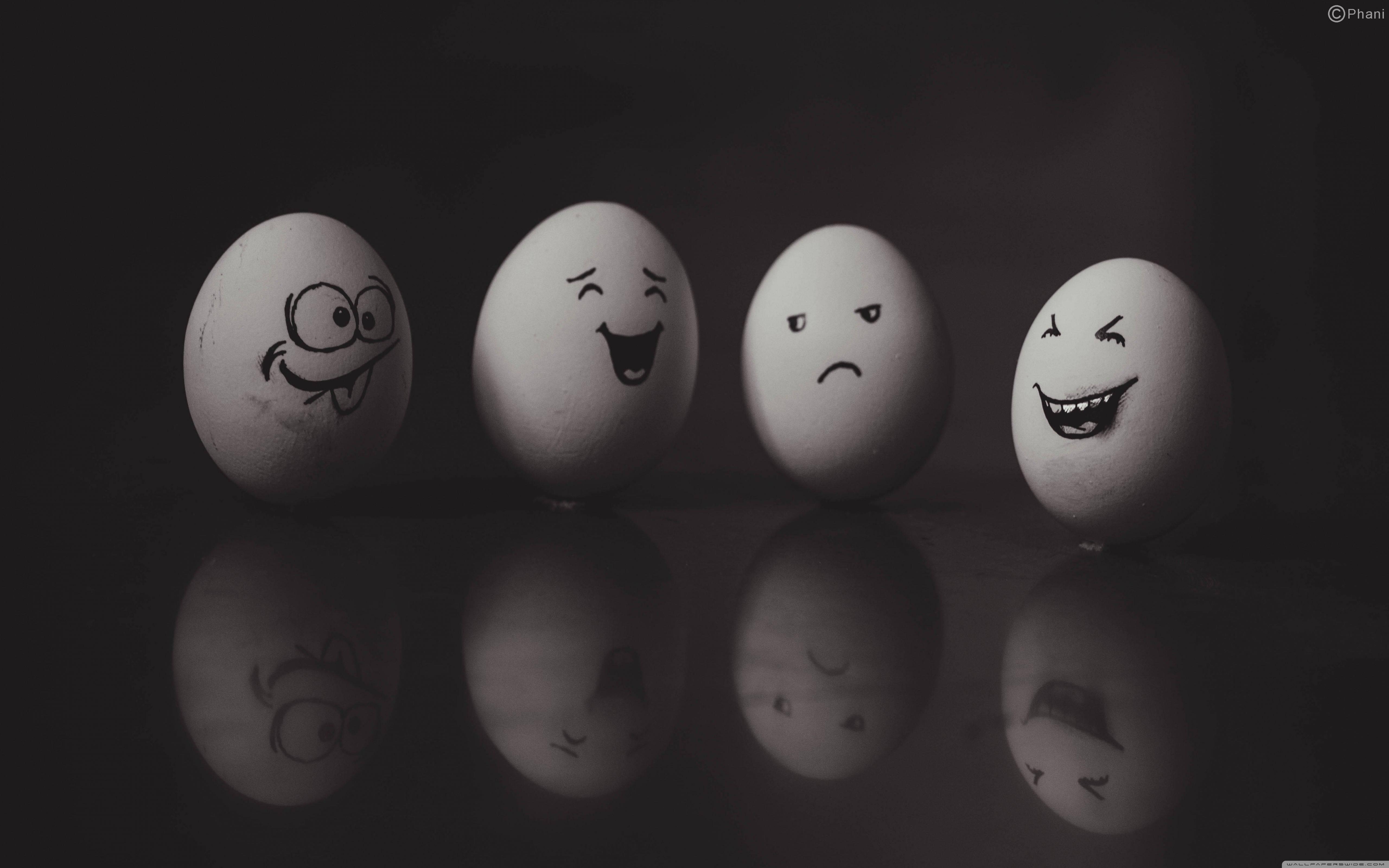 Too much egg-citement! — 5120x3200 wallpaper